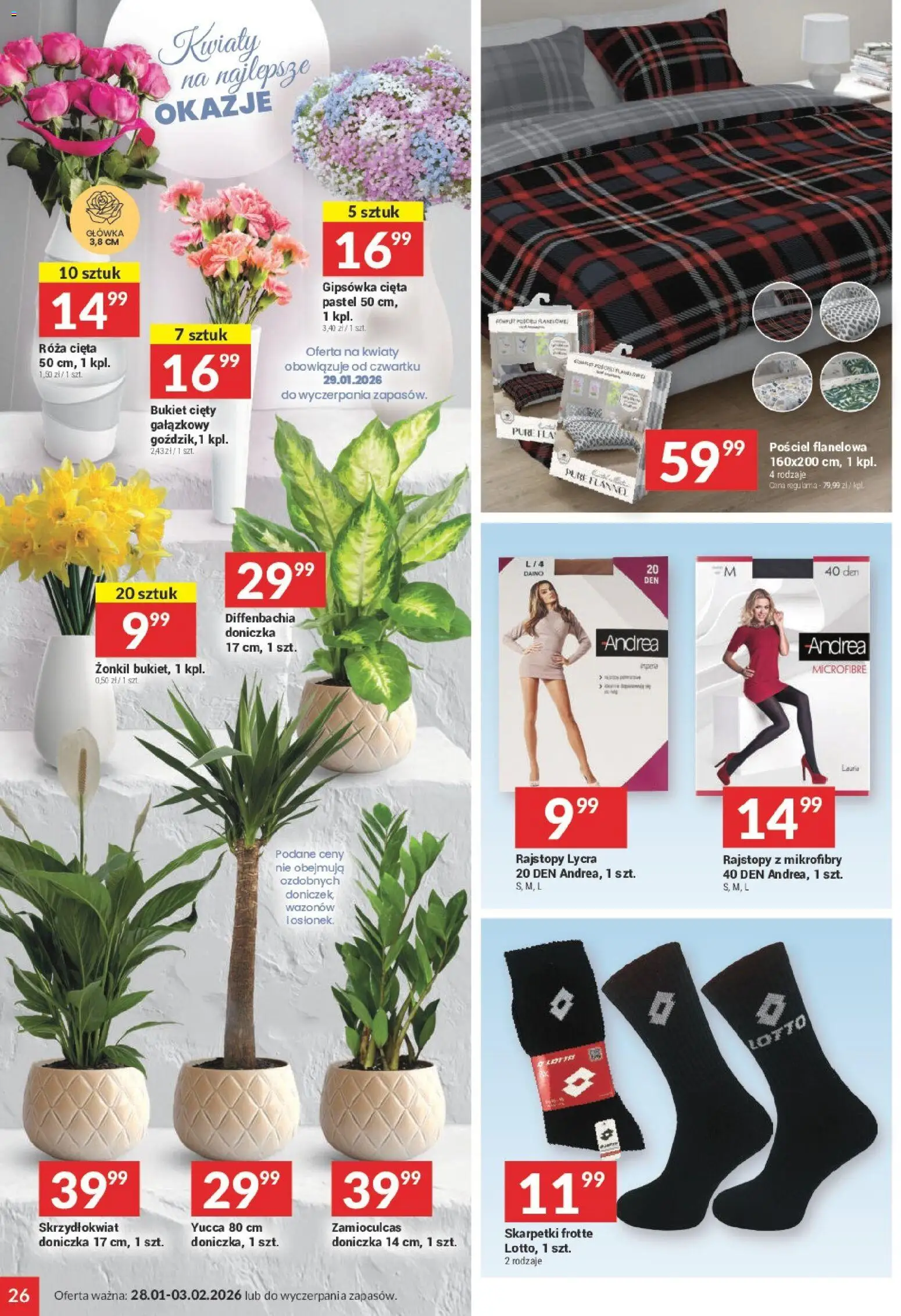 Twój Market Gazetka od 28.01.2026 | Strona: 26 | Produkty: Rajstopy, Doniczka, Zamioculcas, Kwiaty