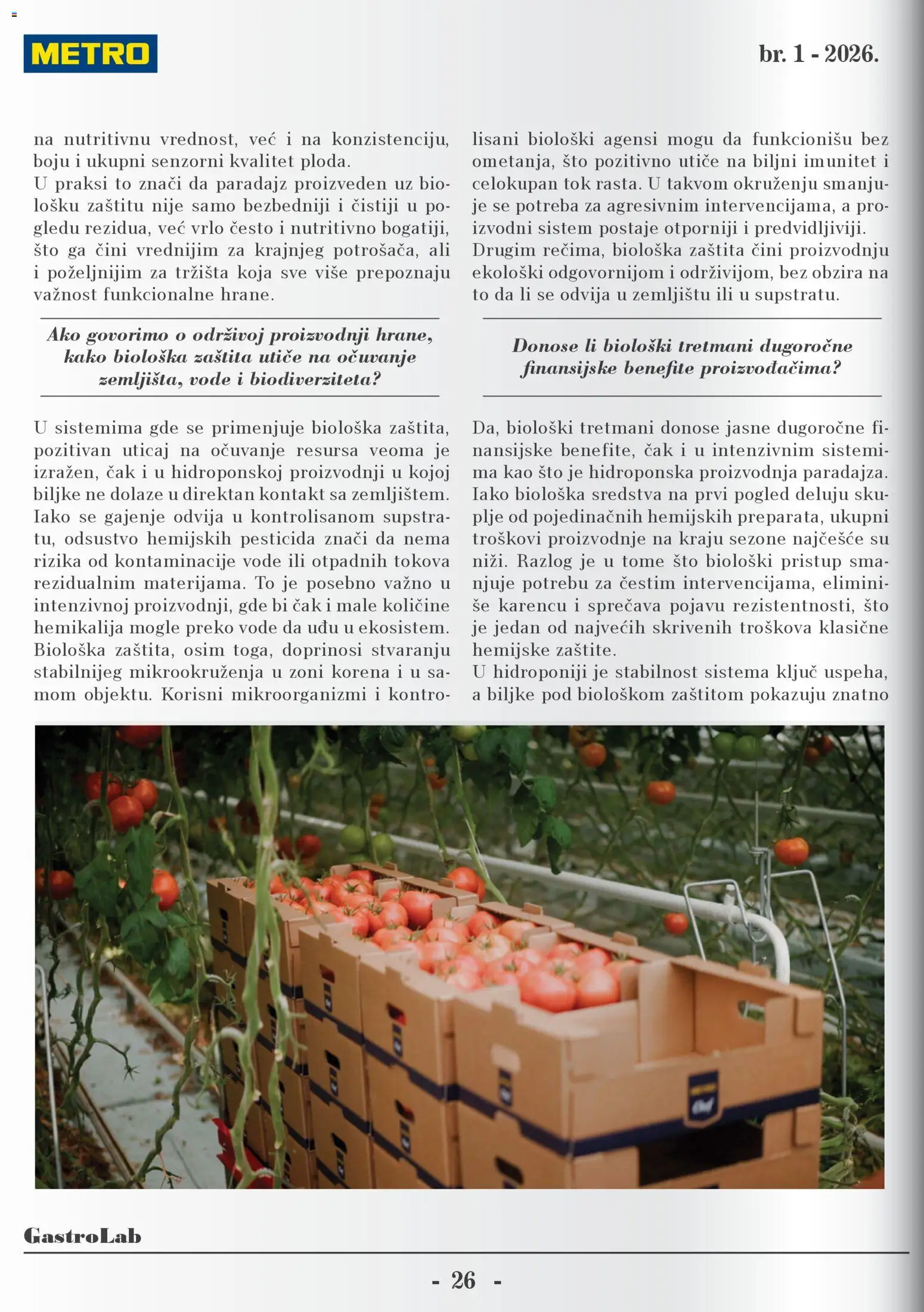 Metro katalog - važi od 13.01.2026 | Strana: 26 | Proizvode: Sto, Paradajz