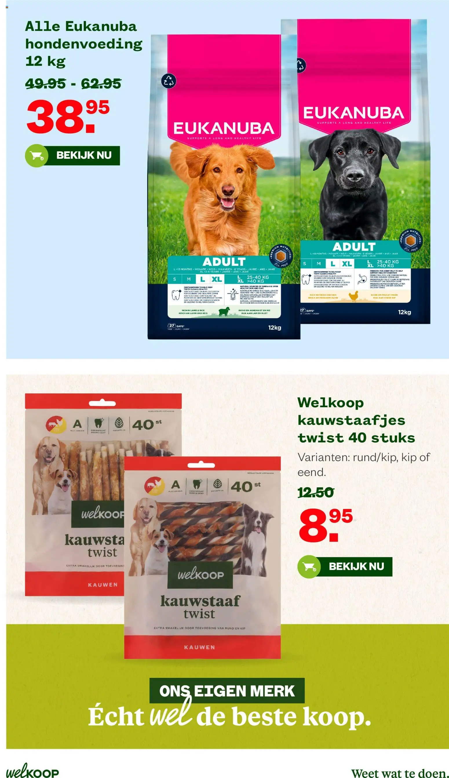 {H1} | Pagina: 31 | Producten: Káposztalevél, Kip