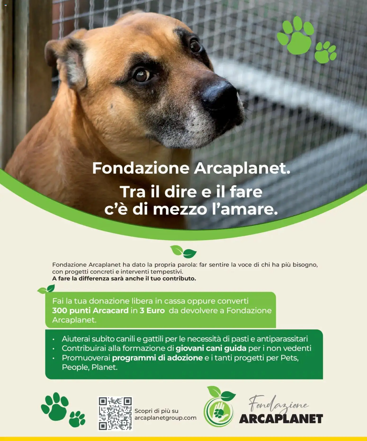 Volantino Arcaplanet del 29.12.2025 | Pagina: 26