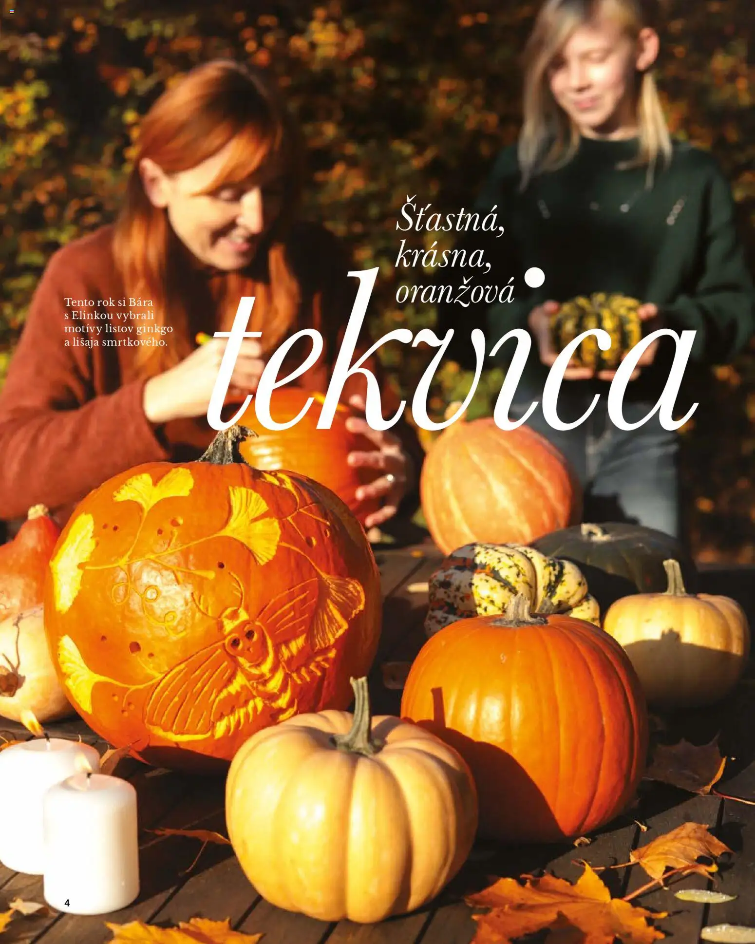 Nové TESCOMA akcie – leták je platný od 01.11.2025 | Strana: 4