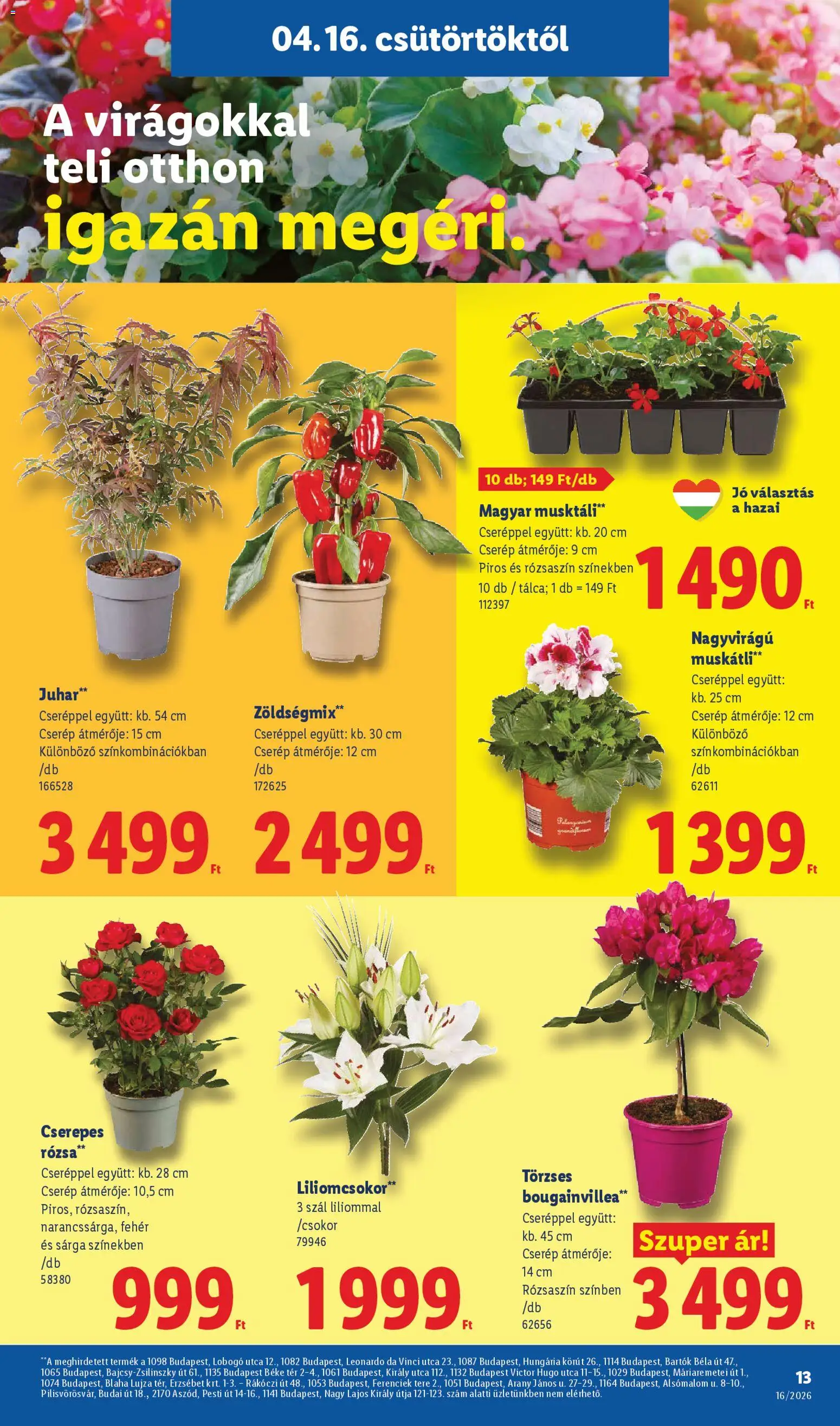 Lidl akciós ujság - amely érvényes a következő dátumtól: 16.04.2026 | Oldal: 13