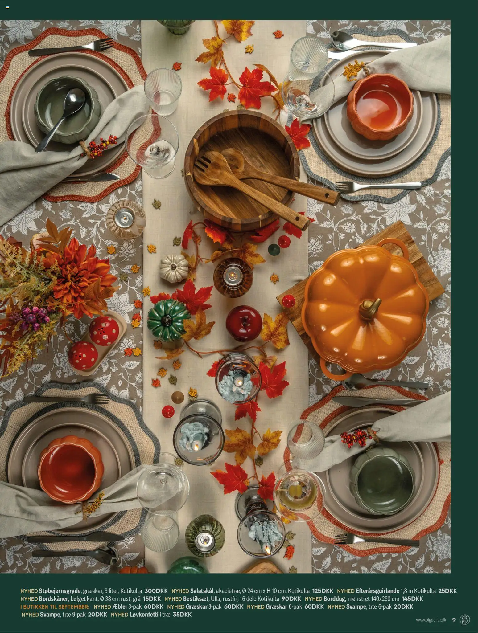 Bigdollar tilbudsavis – gyldig fra 03.09.2025 | Side: 9 | Produkter: Æbler, Græskar