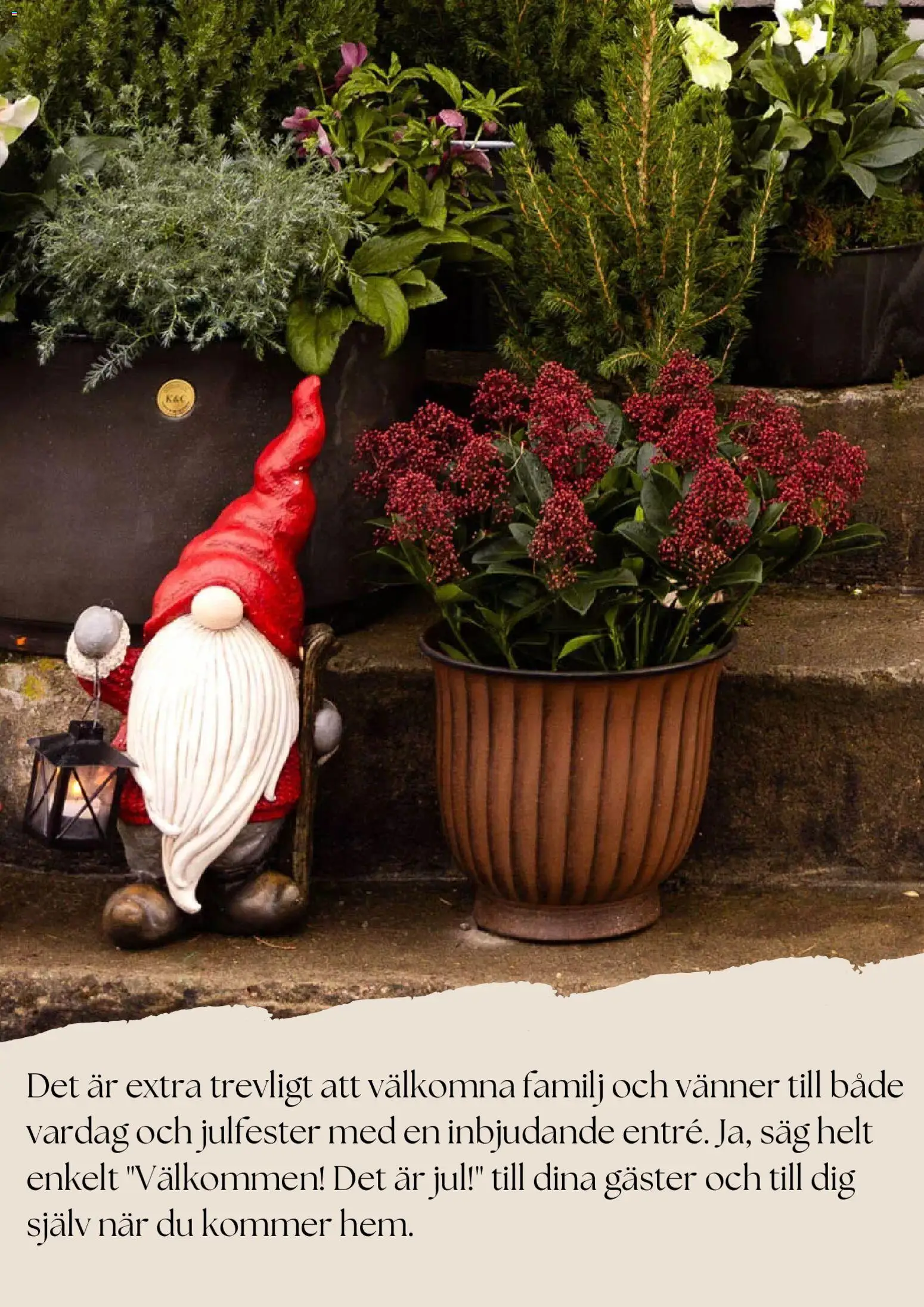 Plantagen reklamblad aktuell från 27.11.2025 | Sida: 4 | Produkter: Såg