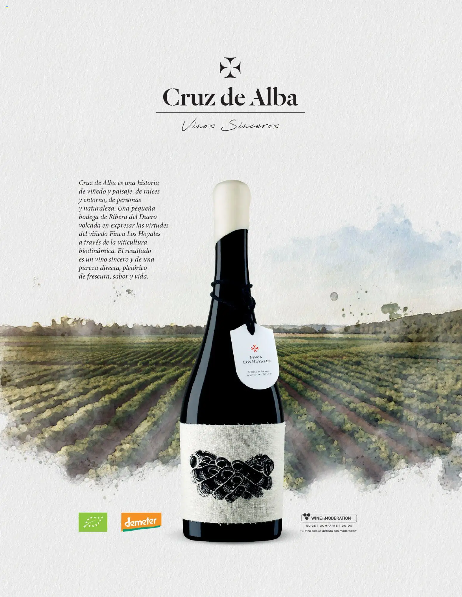 El Corte Inglés ofertas │ válido desde el 19.11.2025 | Página: 118 | Productos: Vino