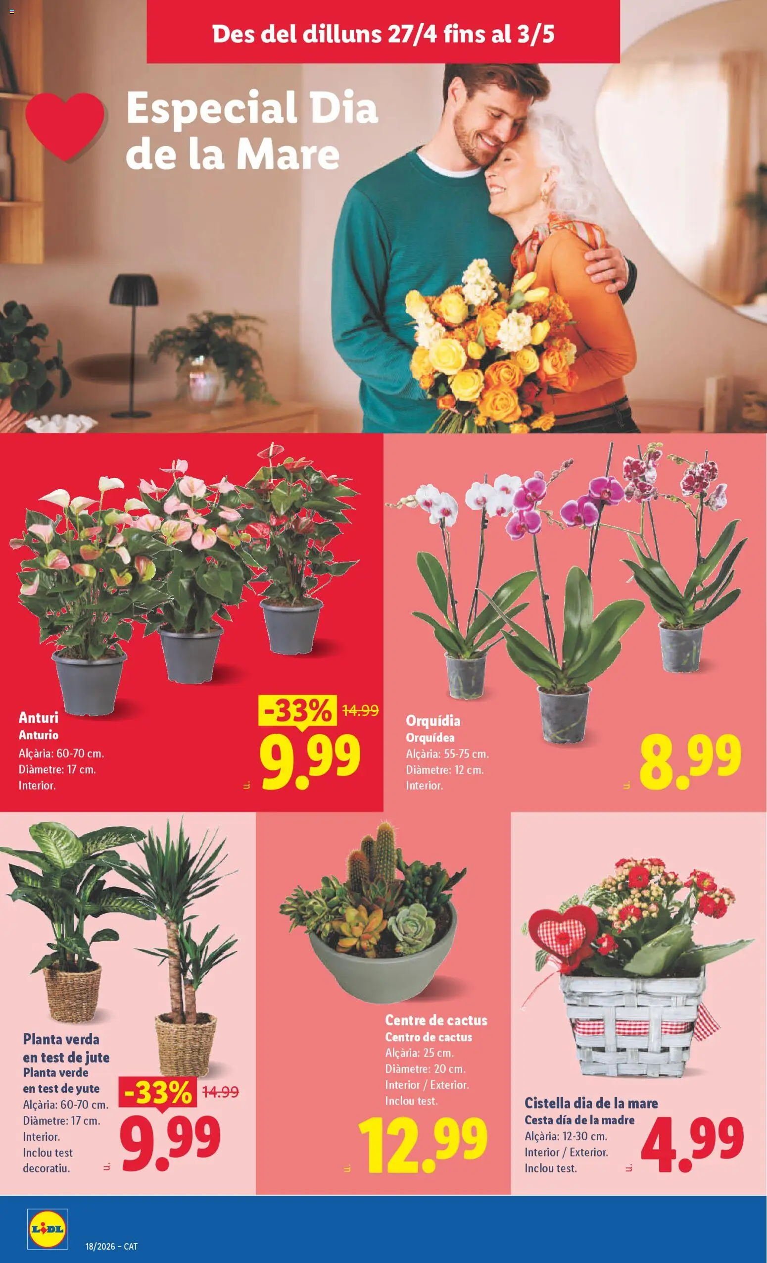 Lidl folleto │ válido desde el 27.04.2026 | Página: 44 | Productos: Cesta