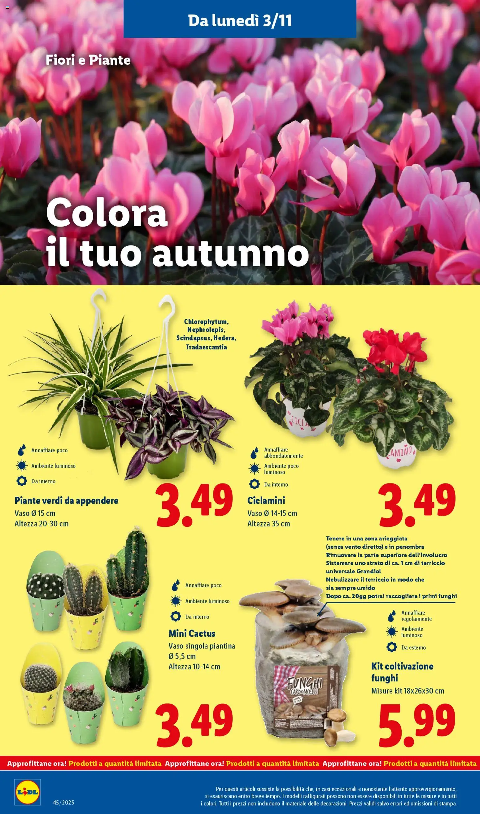 Volantino Lidl del 03.11.2025 | Pagina: 42