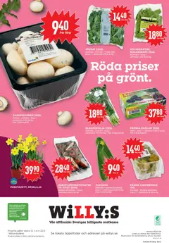 CHAMPINJONER 250G, POLEN • LITAUEN • Klass 1. Jämförpris 37:60 kr/kg. Max 3 köp/hushåll - Förhandsvisning av reklamblad från butik Willys aktuell från 16.03.2026 | Sida: 8