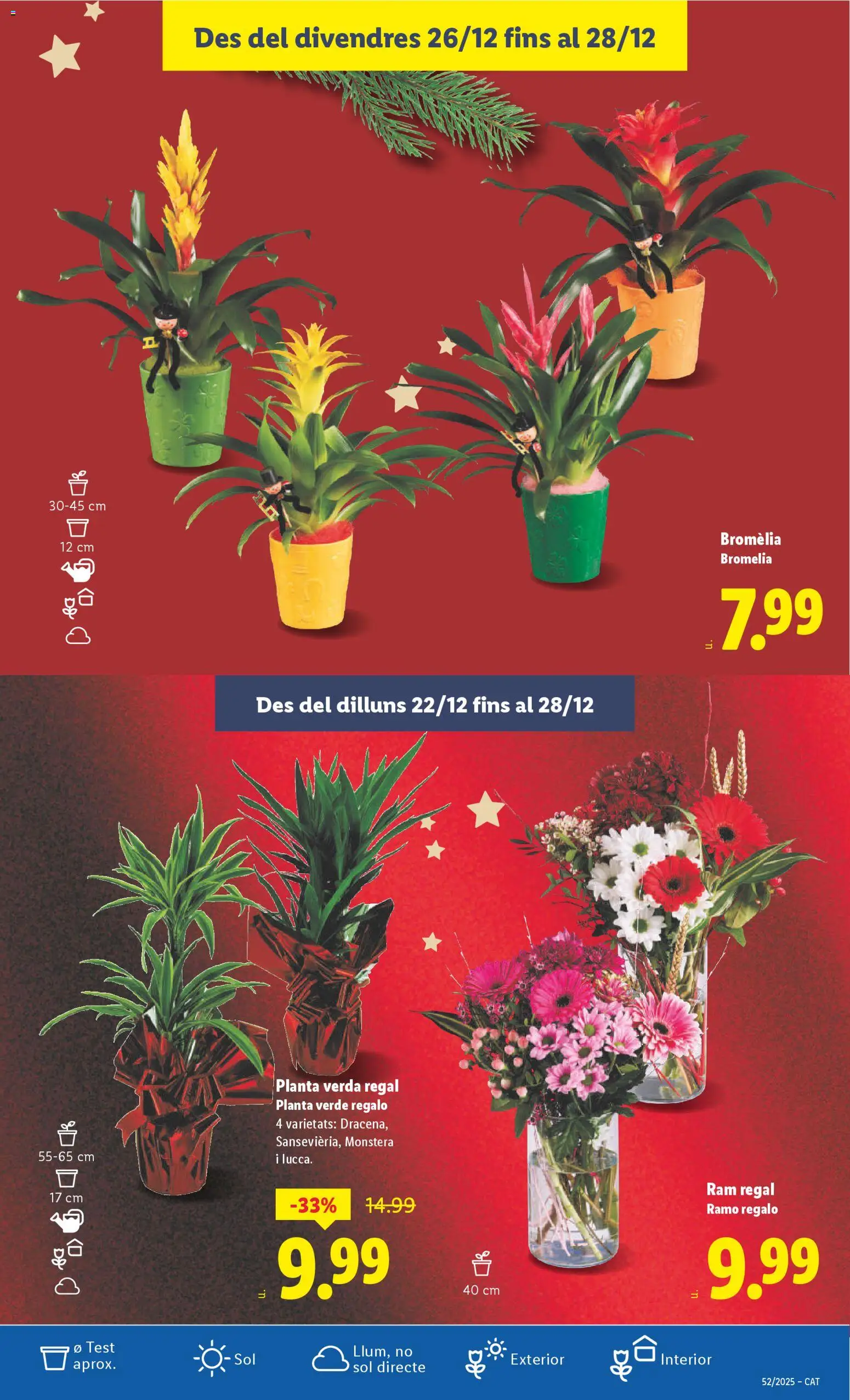 Lidl folleto │ válido desde el 22.12.2025 | Página: 53