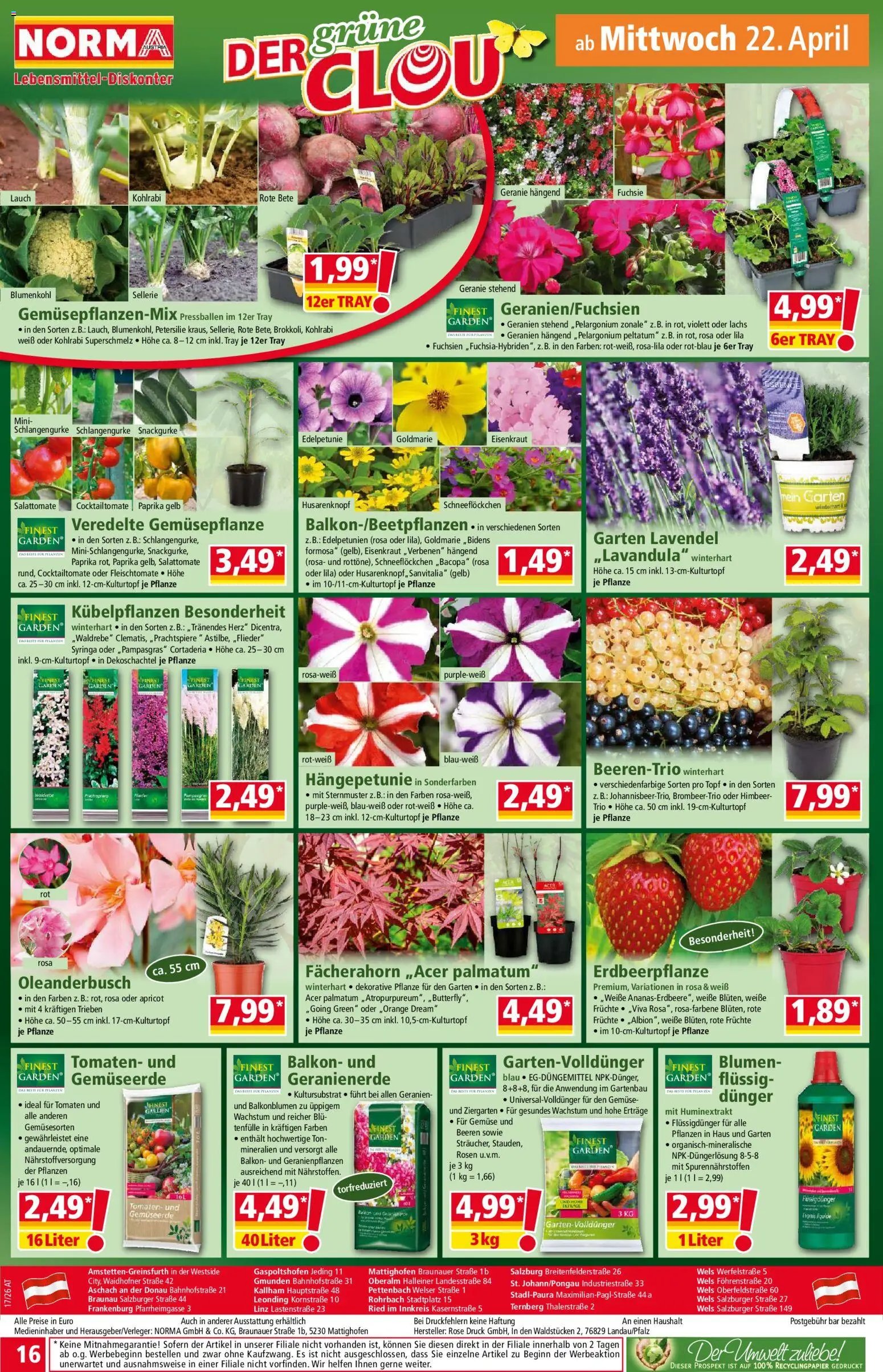 Norma Flugblatt gültig ab 20.04.2026 | Seite: 16 | Produkte: Gemüse, Blumenkohl, Petersilie, Tomaten
