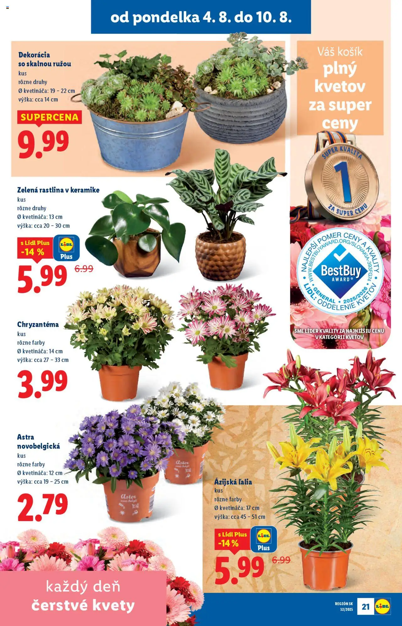 Lidl leták │ platný od 04.08.2025 | Strana: 23 | Produkty: Kvety