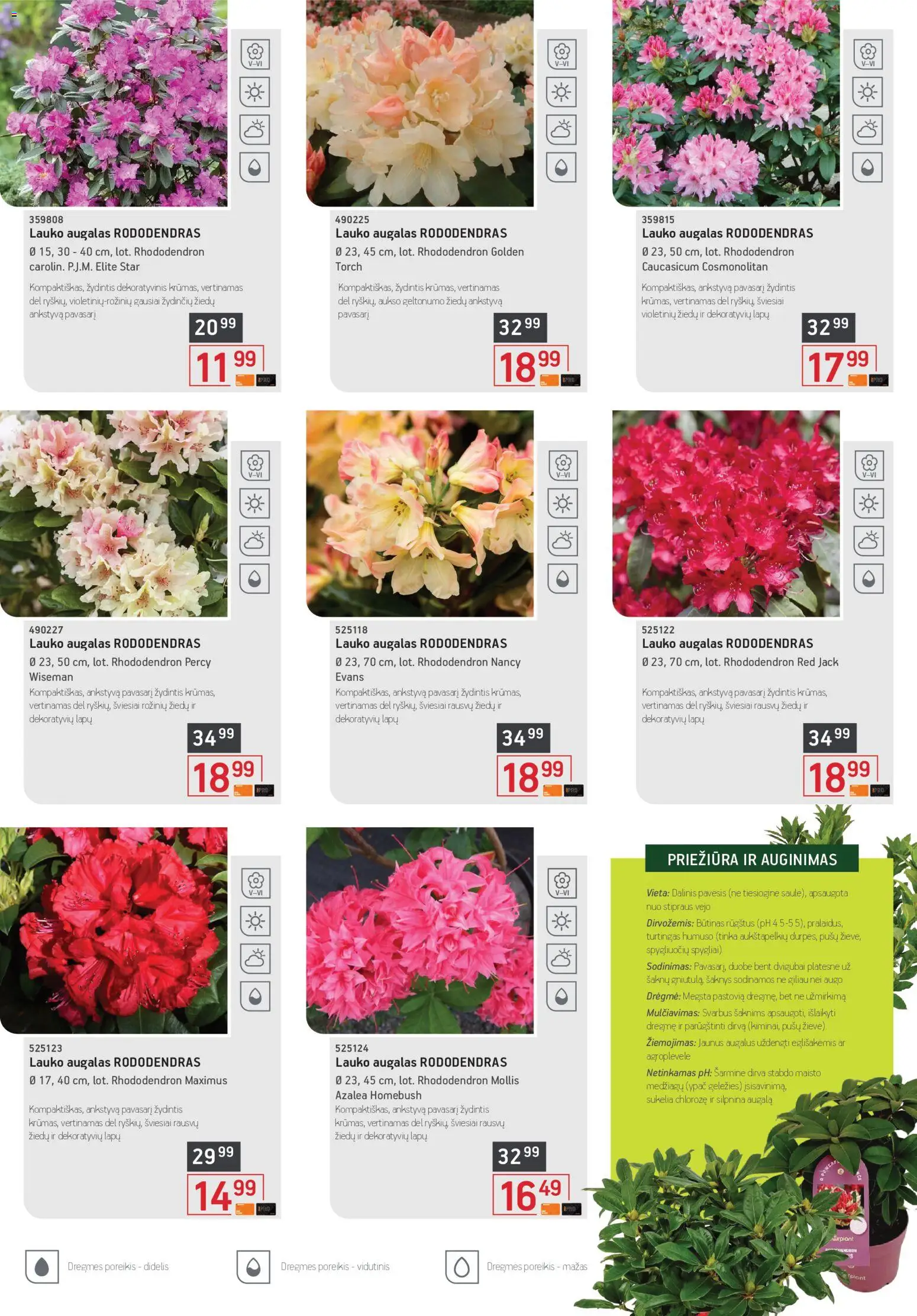 ERMITAŽAS akcijos nuo 01.04.2026 | Puslapis: 13