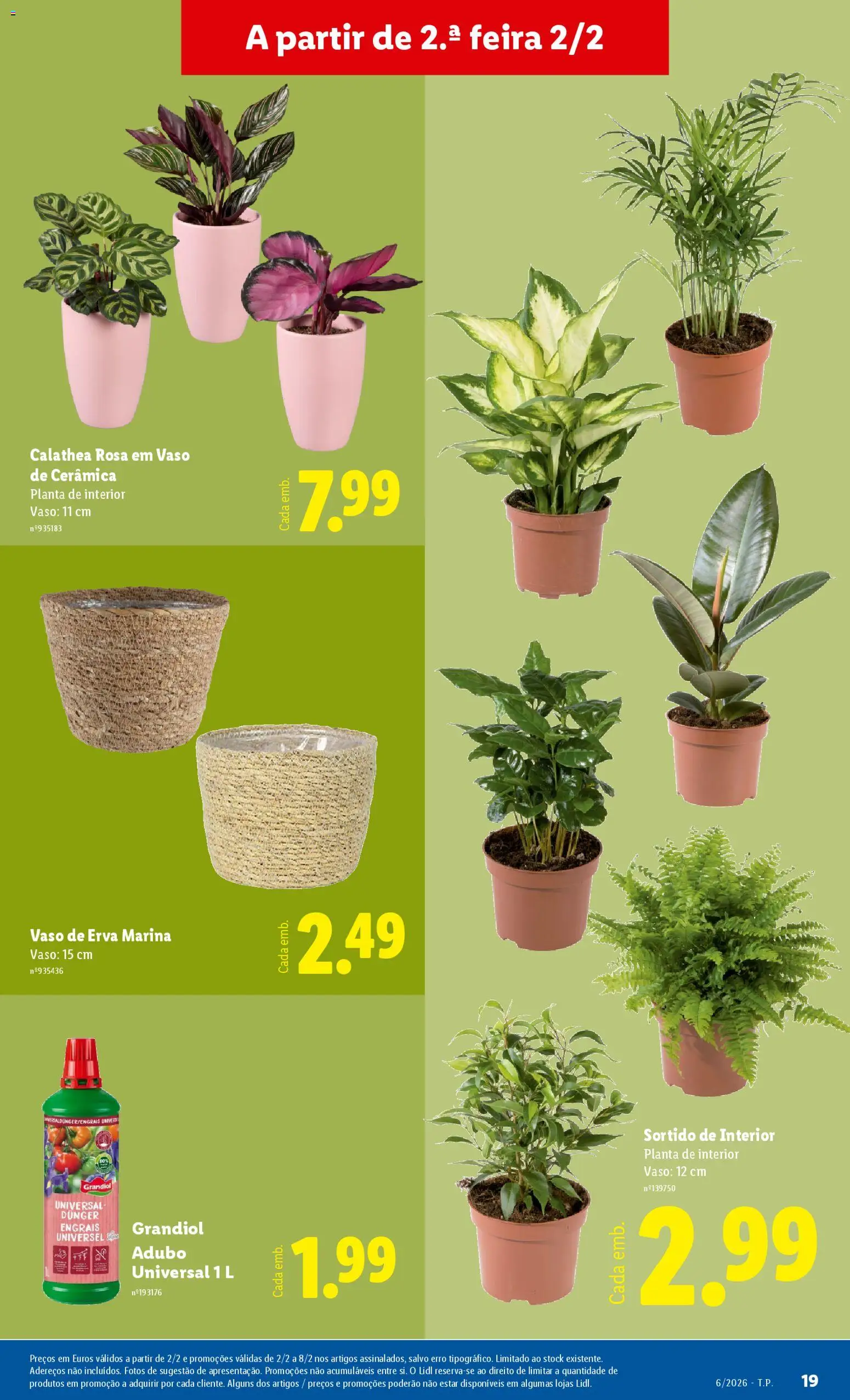 Lidl Novidades │ válido de 02.02.2026 | Página: 19 | Produtos: Vaso