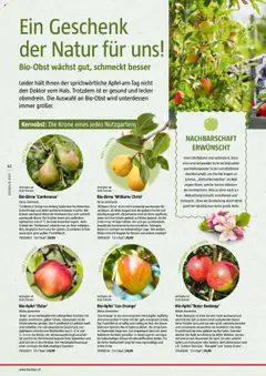 Bauhaus Reiche Ernte Magazin 2025 gültig ab 01.07.2025 | Seite: 62
