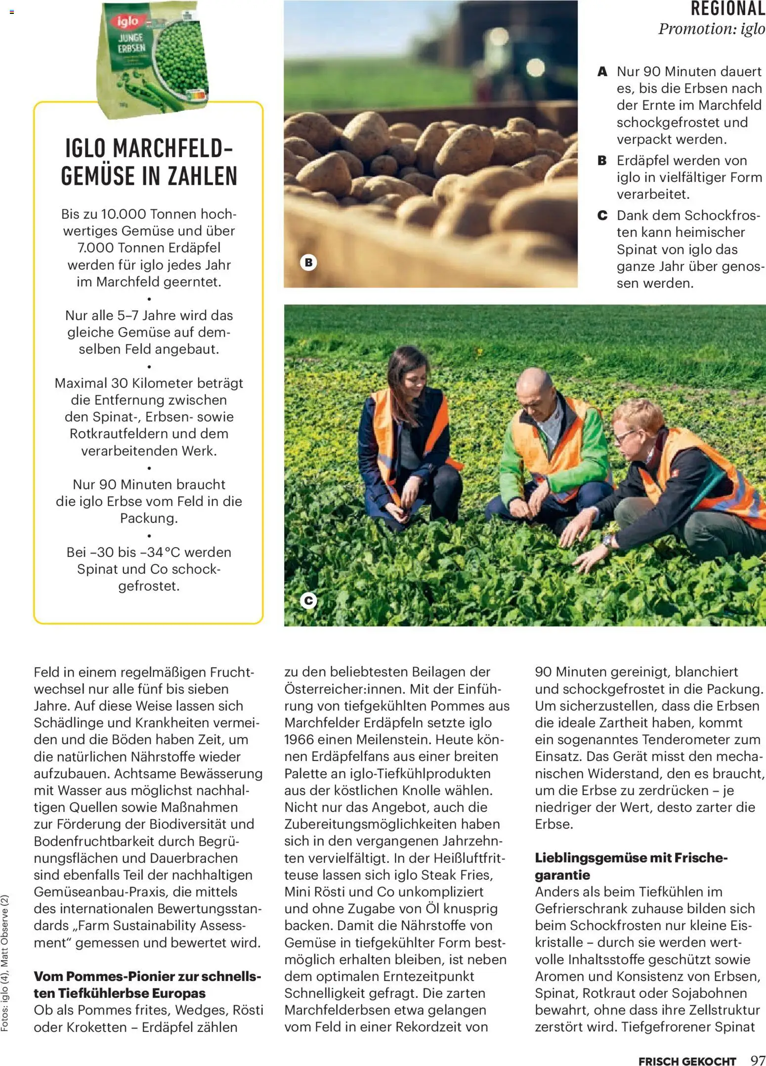 Billa  Frisch Gekocht gültig ab 01.11.2025 | Seite: 93 | Produkte: Eis, Wasser, Gemüse, Erbsen