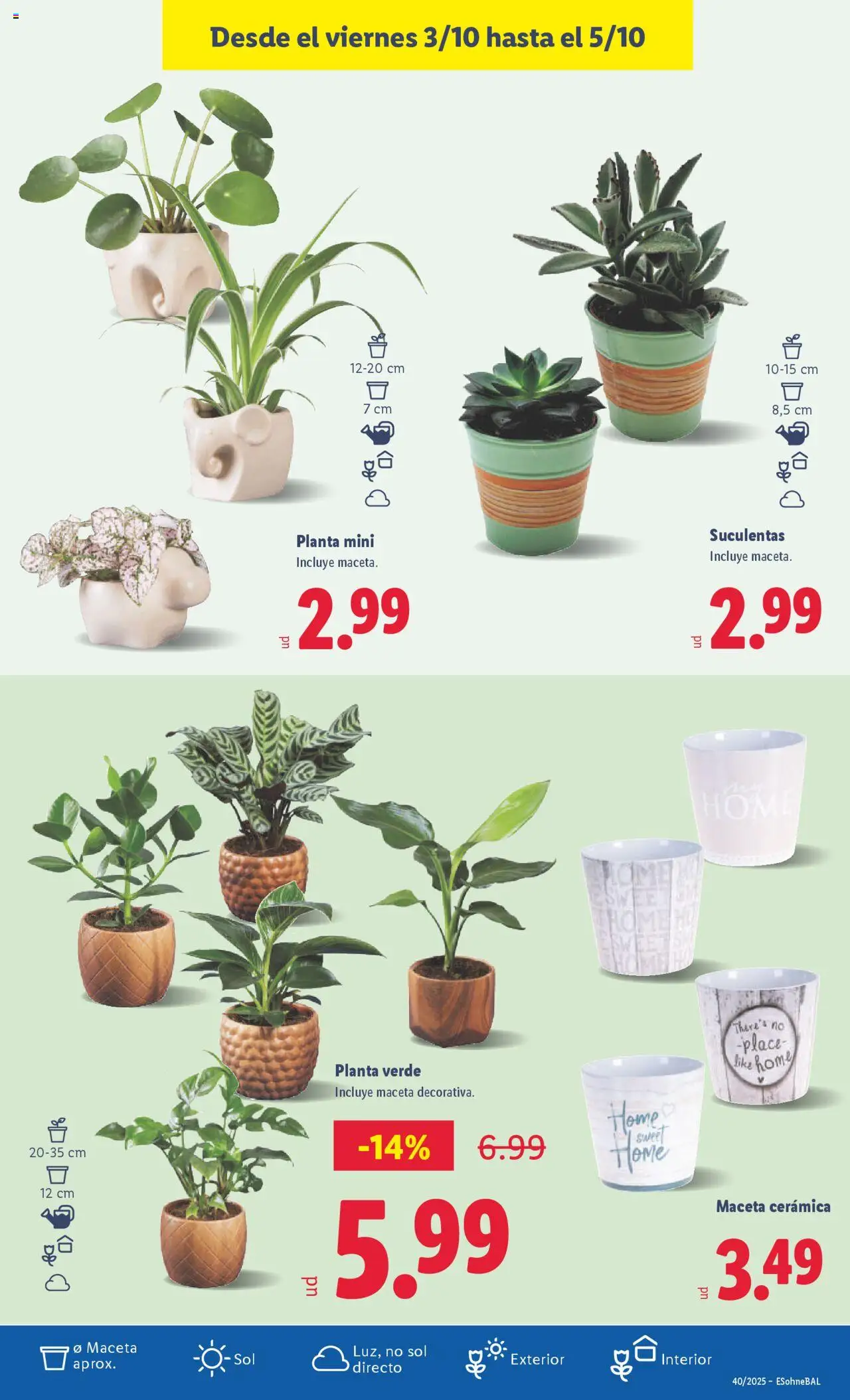 Lidl folleto │ válido desde el 29.09.2025 | Página: 29 | Productos: Maceta