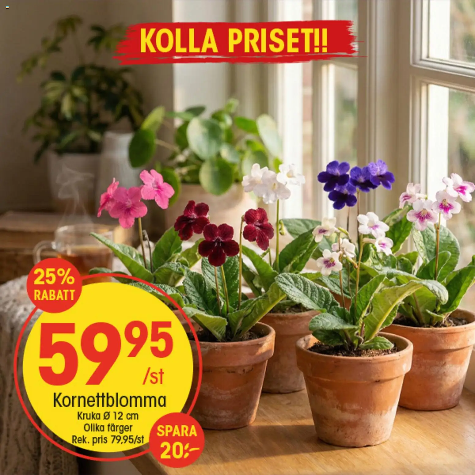EKO reklamblad aktuell från 23.02.2026 | Sida: 3 | Produkter: Kruka