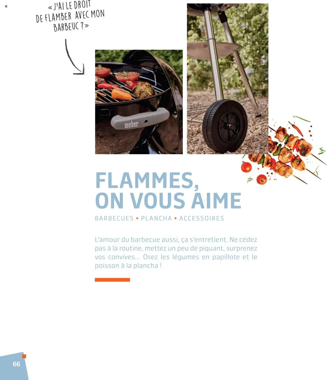  | Page: 66 | Produits: Plancha, Barbecue, Poisson