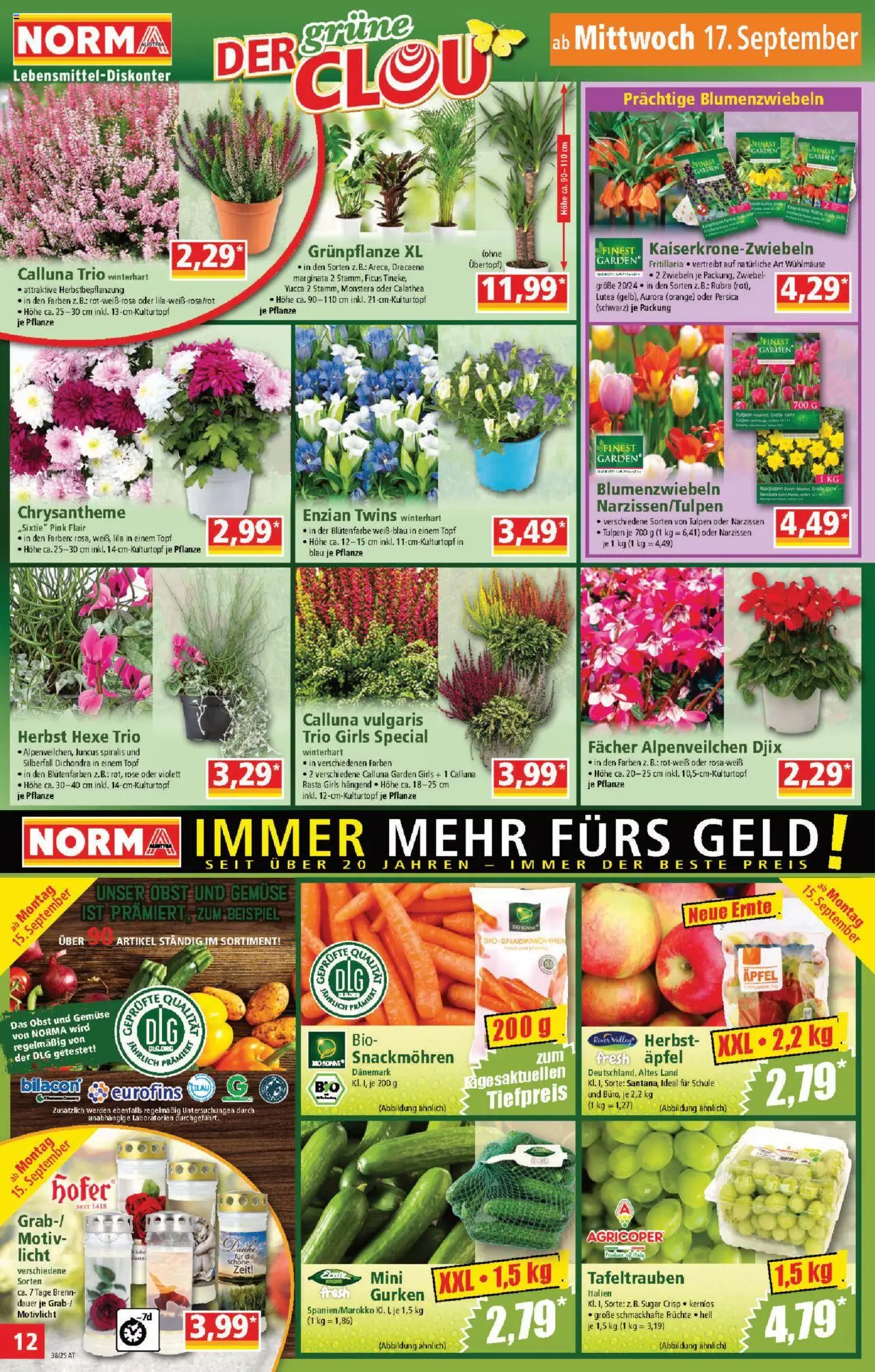 Norma Flugblatt gültig ab 08.09.2025 | Seite: 12 | Produkte: Gurken, Zwiebeln, Obst, Äpfel