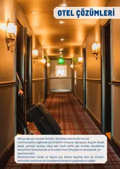 30.12.2025 tarihinden itibaren geçerli olan Metro kataloğu önizlemesi | Sayfa: 43 | Ürünler: Duş, Terlik