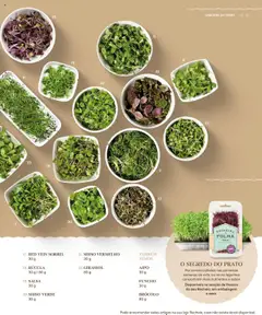 Pré-visualização Recheio - Recheio da Terra válido de 25.09.2025 | Página: 33 | Produtos: Rúcula