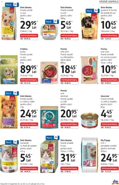 Ofertele DM drogeriemarkt valabile de la 05.03.2026 | Pagină: 29 | Produse: Mazăre, Hacıyatmaz Kedi Oyuncağı, Șervețele umede, Sos