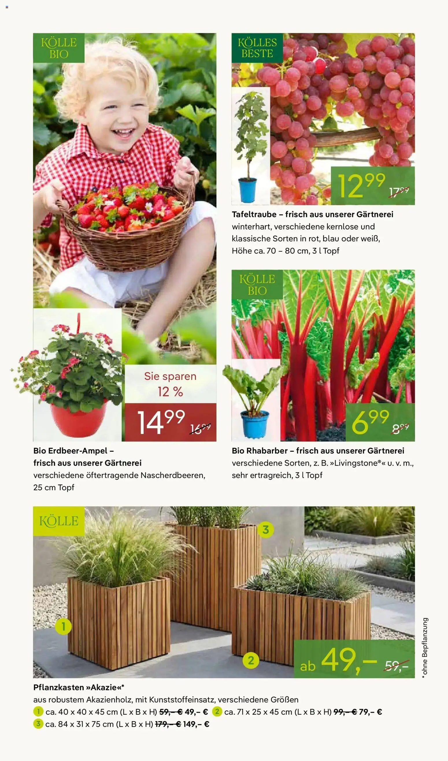 Pflanzen-Kölle Frühlingsfreude – gültig ab 13.04.2026 | Seite: 8