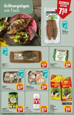 Rewe prospekt Schwerin	 - gültig ab dem 20.07.2025 | Seite: 16 | Produkte: Dorade, Tyskie, Butter, Pils