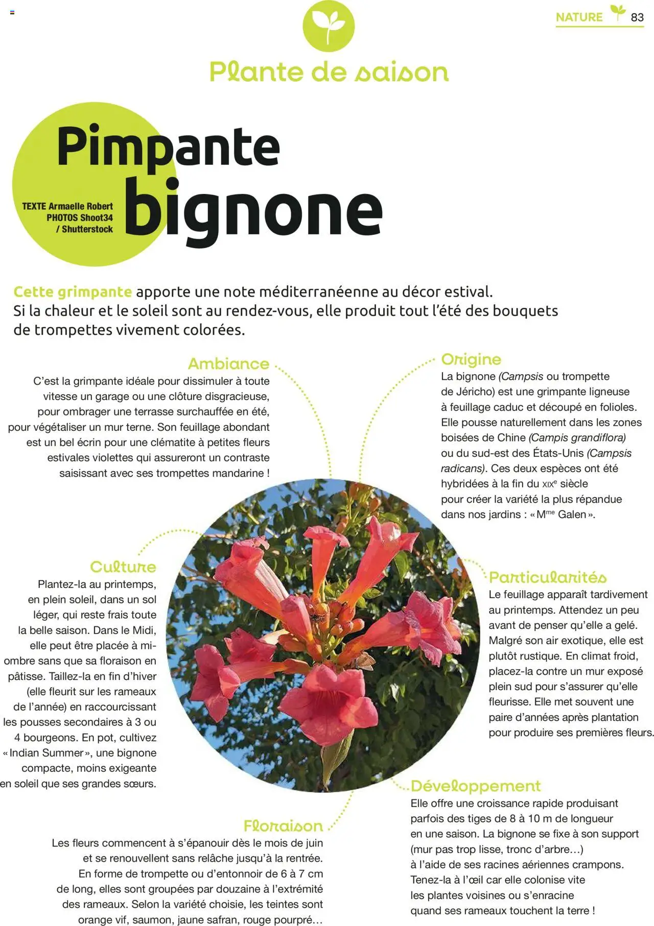  | Page: 83 | Produits: Orange, Plantes, Clôture