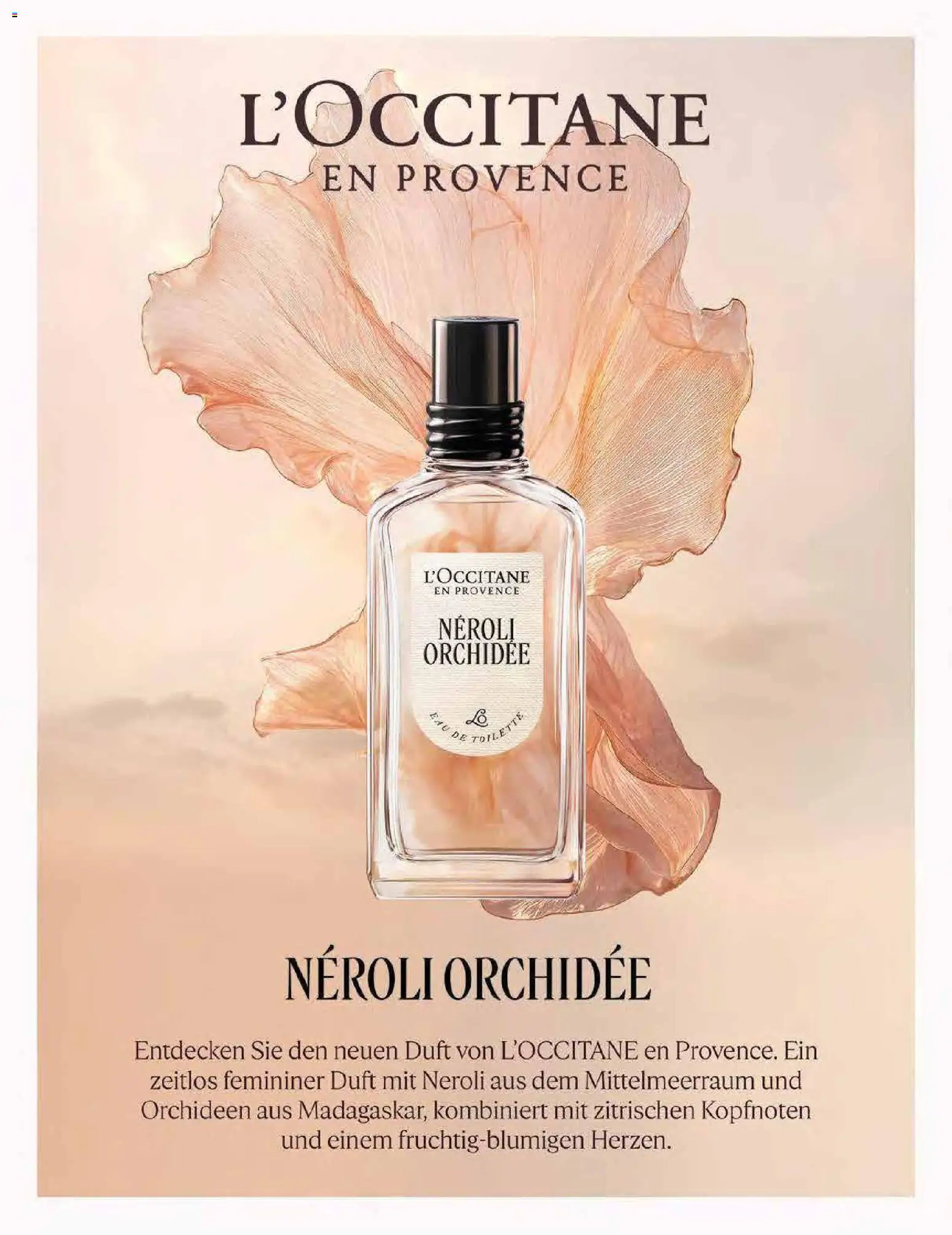 Müller Lifestyle – gültig ab 14.11.2025 | Seite: 15 | Produkte: Orchidee, Toilette, Duft, Eau de Toilette