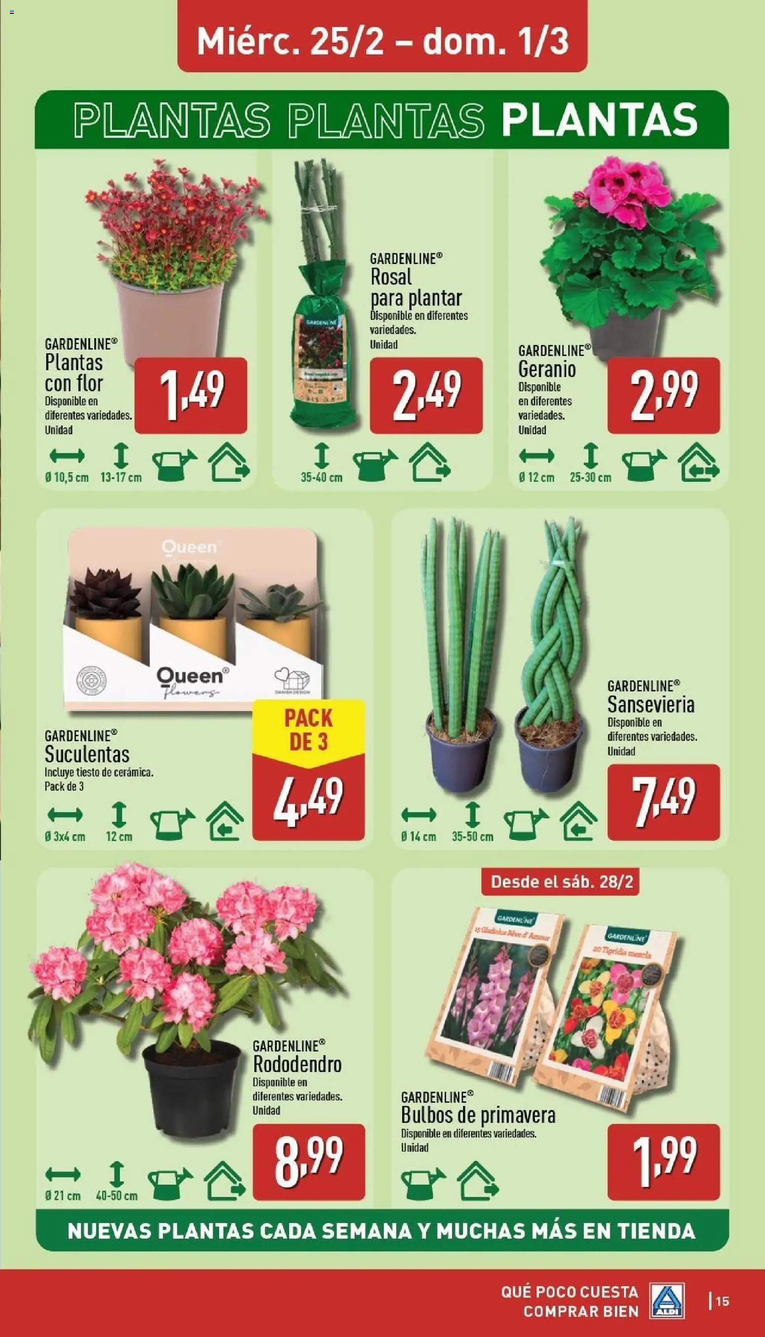 Aldi folleto Península │ válido desde el 23.02.2026 | Página: 15