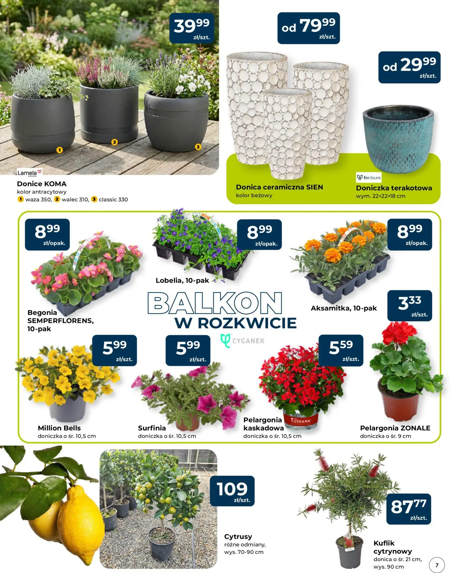 Mrówka gazetka - Radomsko od 23.04.2026 | Strona: 7 | Produkty: Doniczka