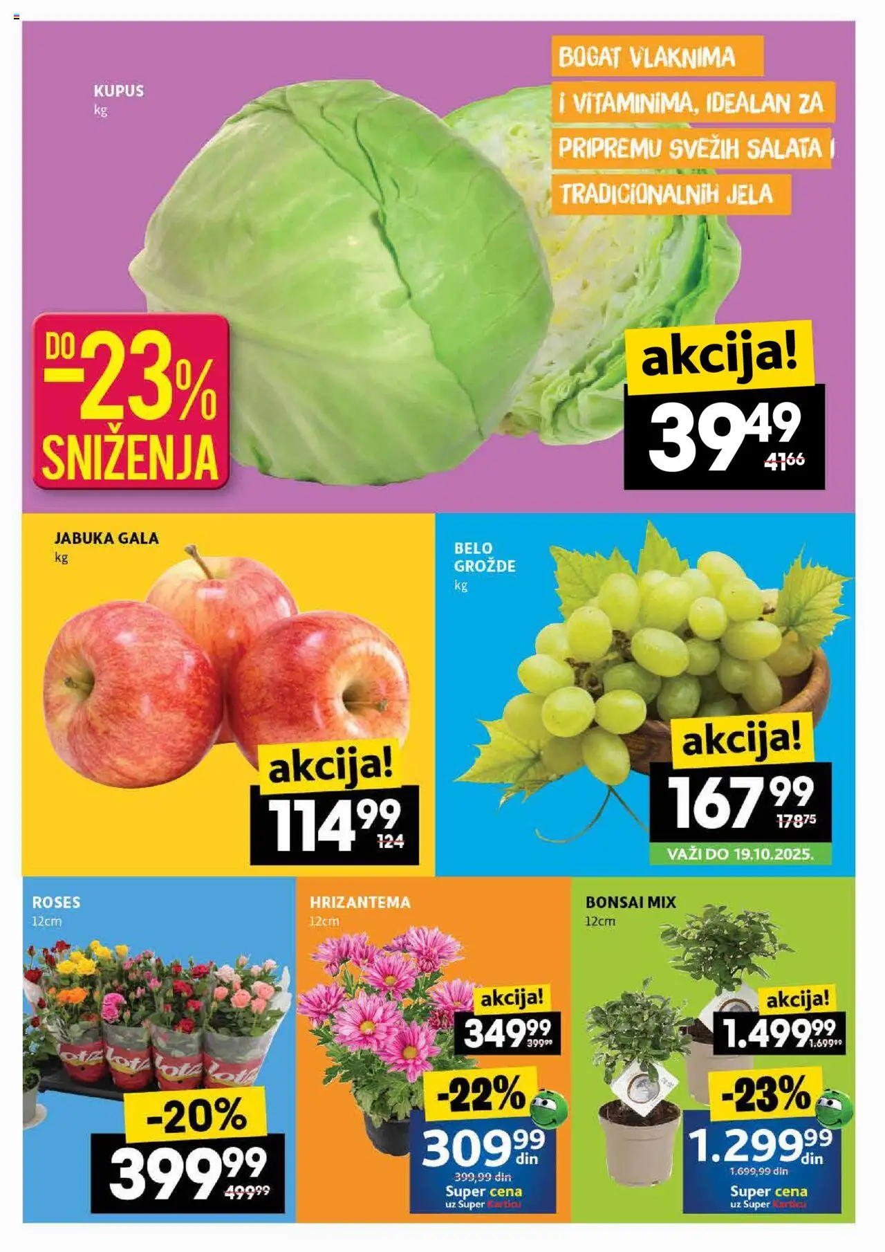 Roda katalog - važi od 16.10.2025 | Strana: 2 | Proizvode: Salata, Kupus, Hrizantema