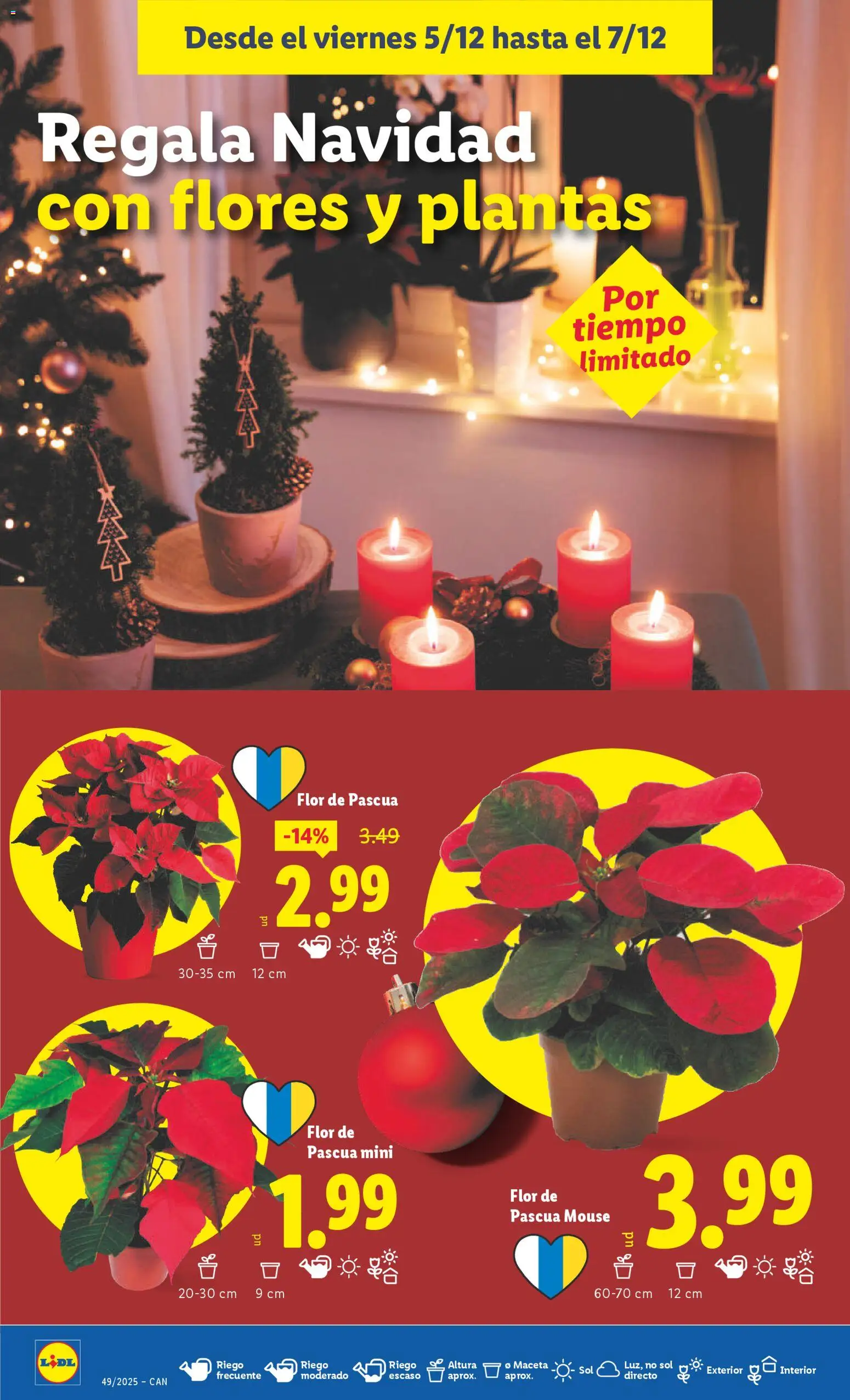 Lidl - Canarias │ válido desde el 01.12.2025 | Página: 52