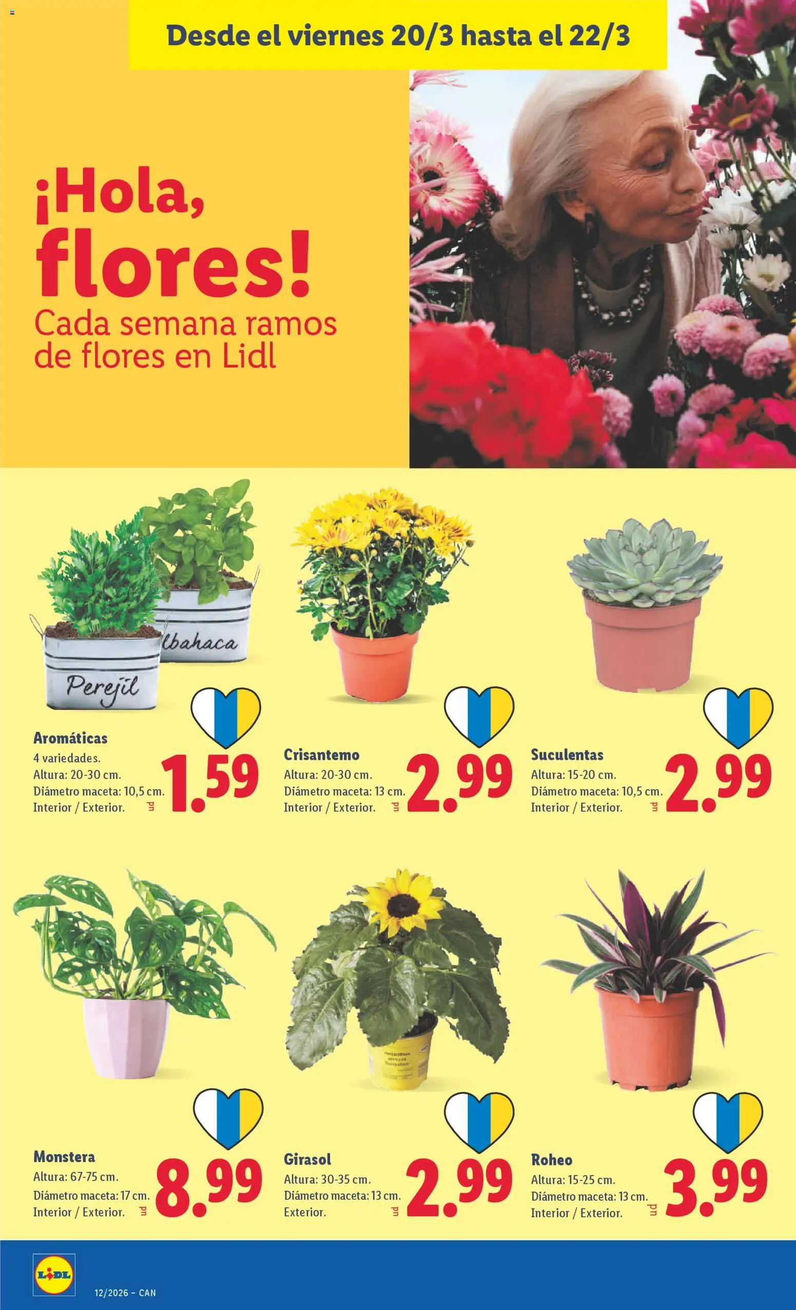 Lidl folleto │ válido desde el 16.03.2026 | Página: 46 | Productos: Maceta