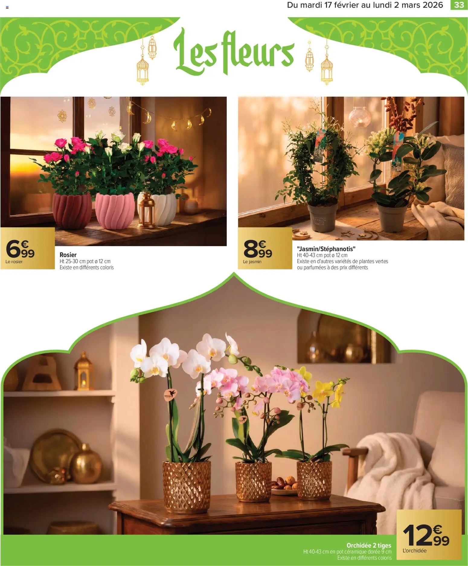 {H1} | Page: 33 | Produits: L'orchidée, Rosier, Plantes, Orchidée