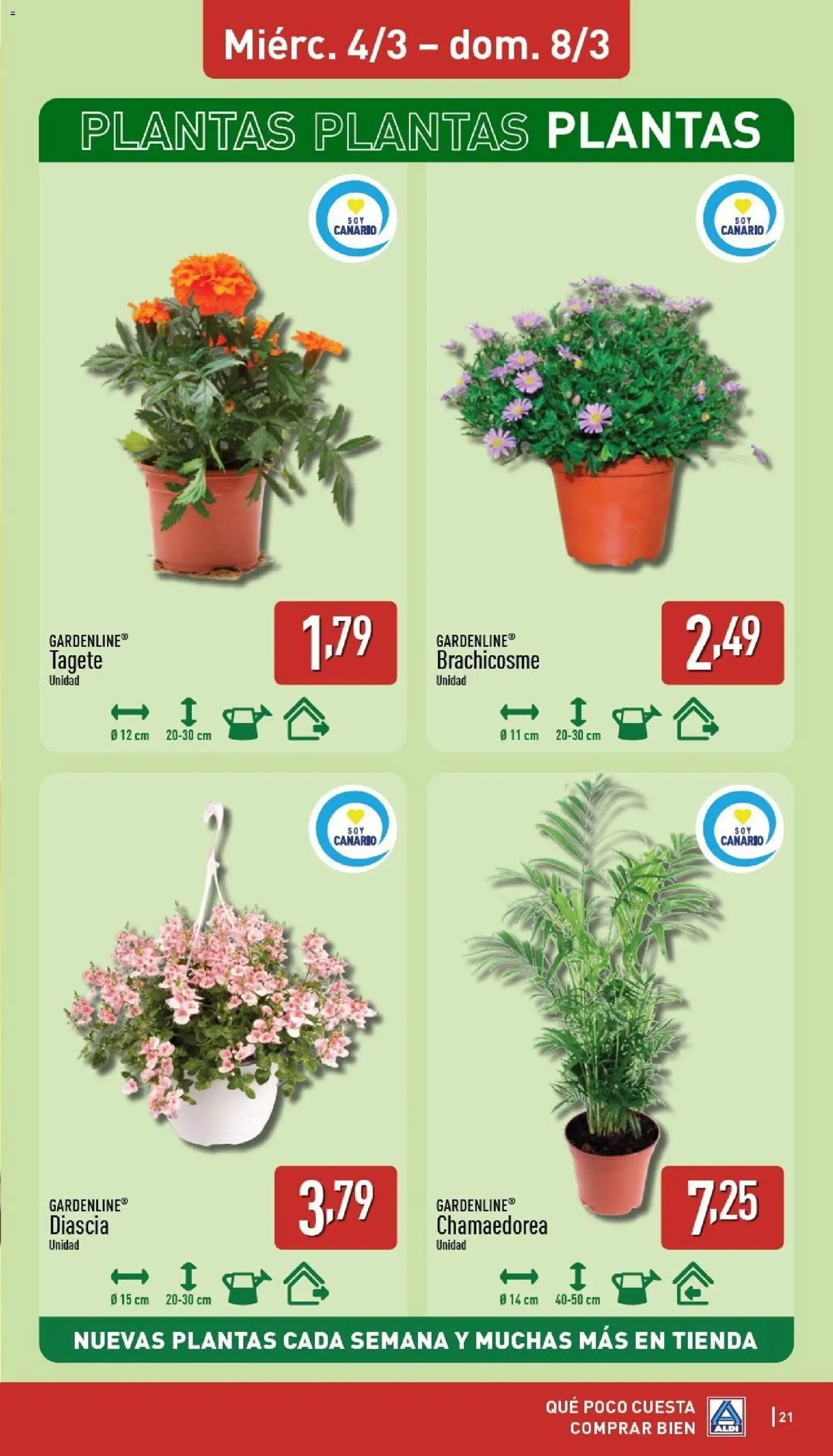 Aldi folleto Canarias │ válido desde el 02.03.2026 | Página: 21