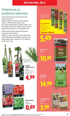 Sadnice bobičastog voća, Komad, Visina: cca 70 cm, Promjer: cca 11x11 cm, Različite vrste - Pregled kataloga iz trgovine Lidl, vrijedi od 23.02.2026 | Stranica: 25