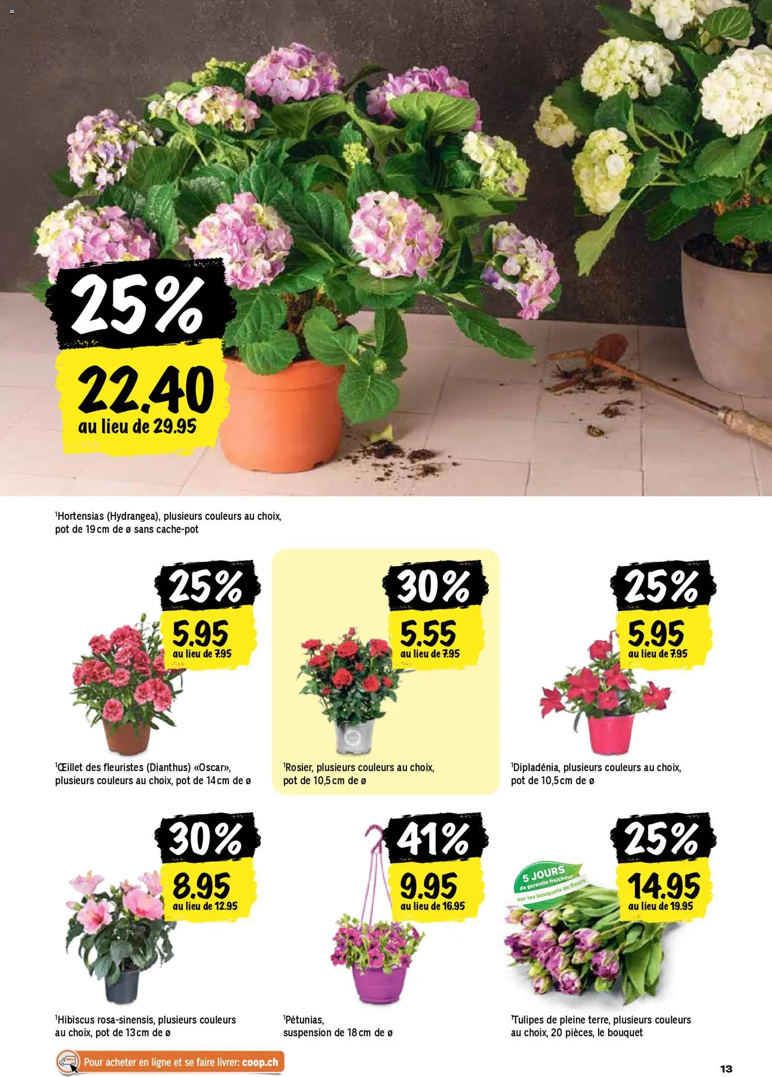 Coop aktionen FR – gültig ab 16.04.2026 | Seite: 13