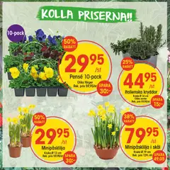 EKO erbjudanden - Förhandsvisning av reklamblad från butik EKO aktuell från 02.03.2026