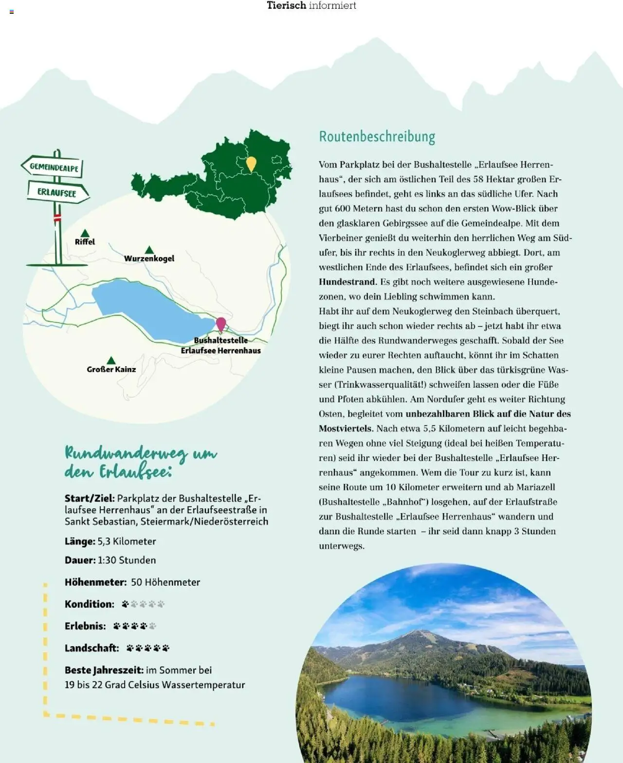 Fressnapf Friends 04/25 gültig ab 01.07.2025 | Seite: 23