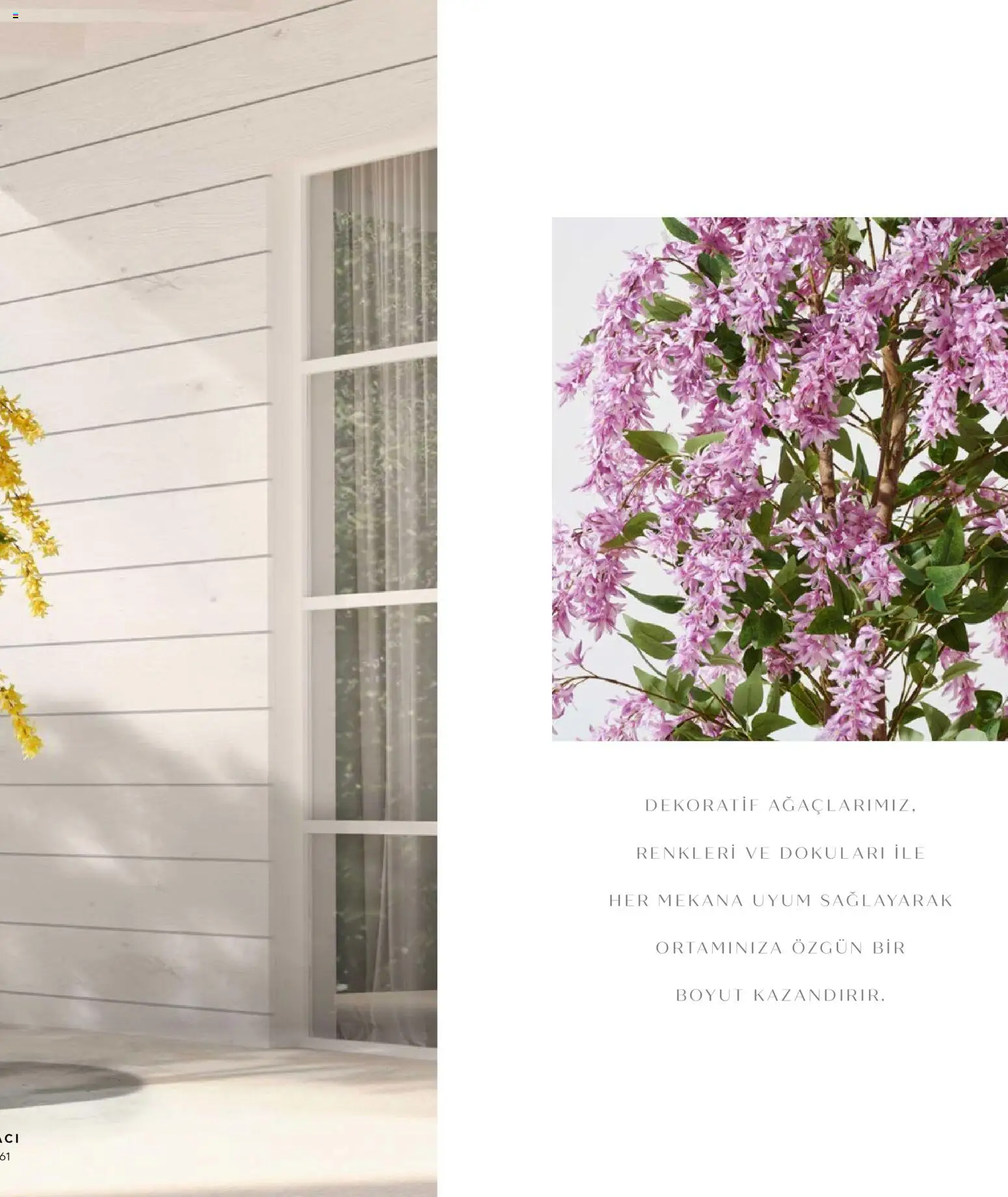 Mudo - Katalog  Ağaç 2026 - 01.01.2026 tarihinden itibaren geçerlidir | Sayfa: 23