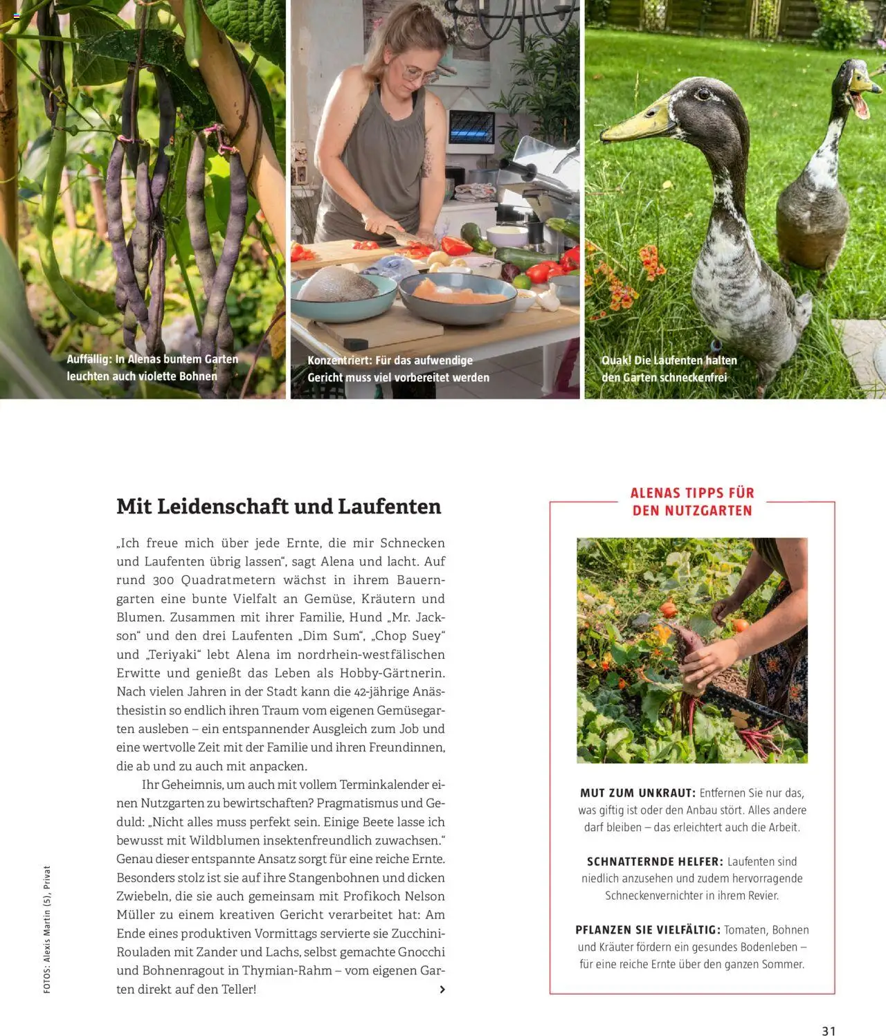 Bauhaus passt! Magazin gültig ab 14.04.2025 | Seite: 31