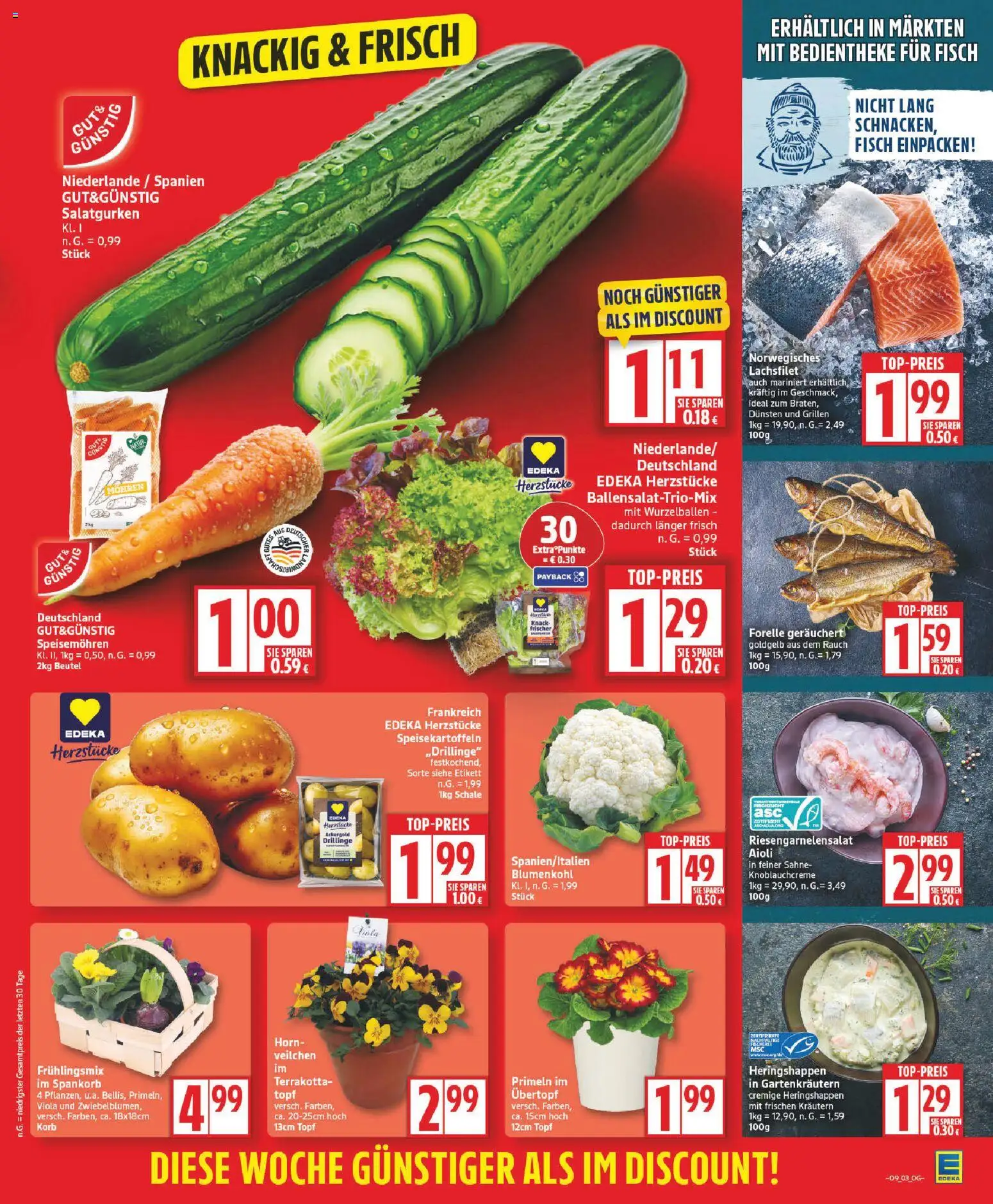 Edeka Prospekt 	 – gültig ab 23.02.2026 | Seite: 3 | Produkte: Korb, Mohren, Fisch, Blumenkohl