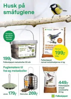 Forhåndsvisning av Felleskjøpet kundeavis gyldig fra 27.10.2025 | Side: 2