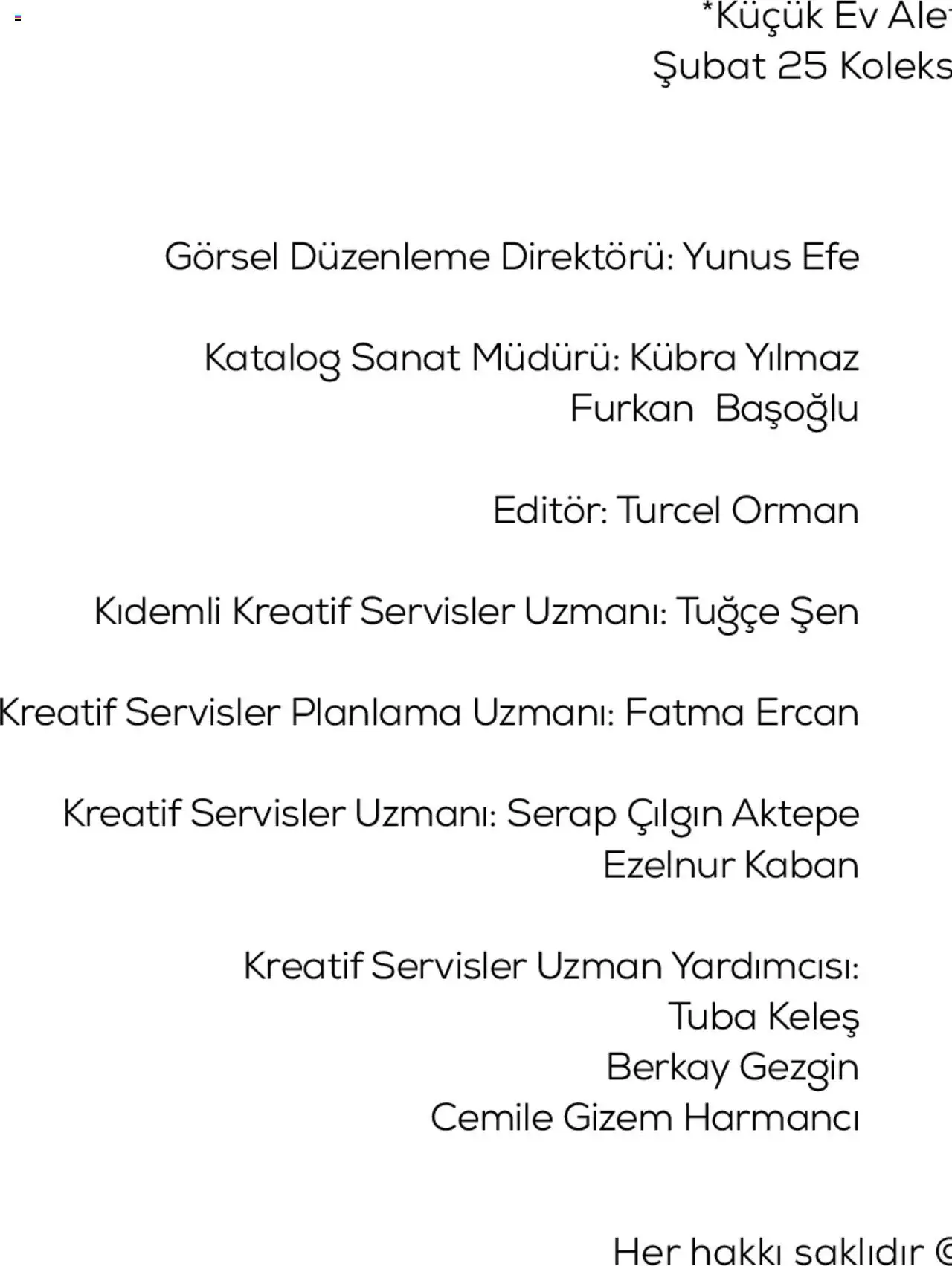 Karaca Küçük ev aletleri - 01.03.2025 tarihinden itibaren geçerlidir | Sayfa: 110