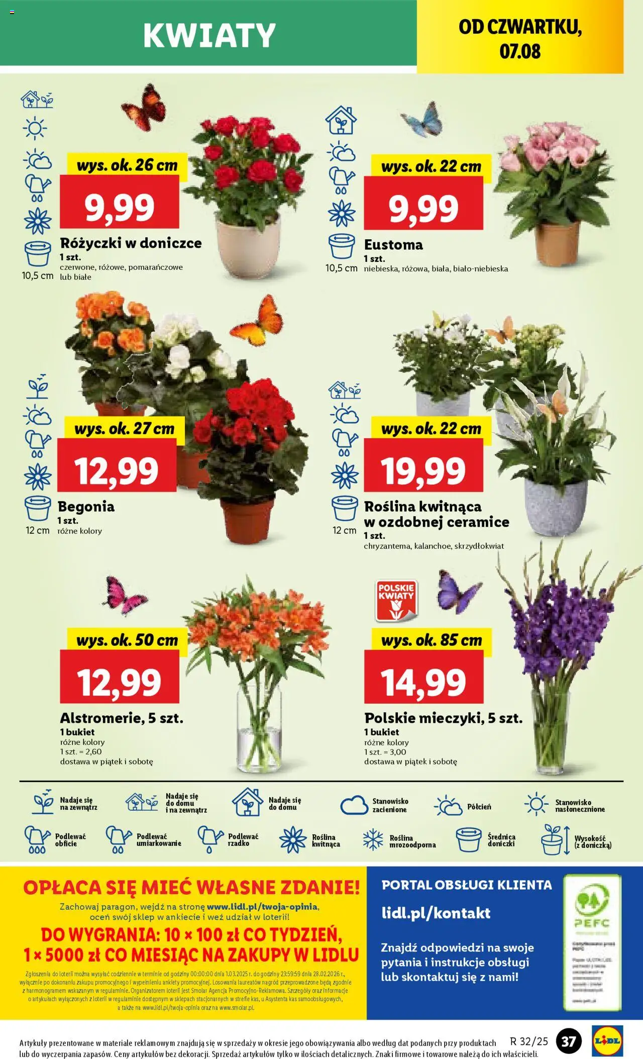 Lidl Gazetka od 07.08.2025 | Strona: 49 | Produkty: Doniczka, Doniczki, Kwiaty