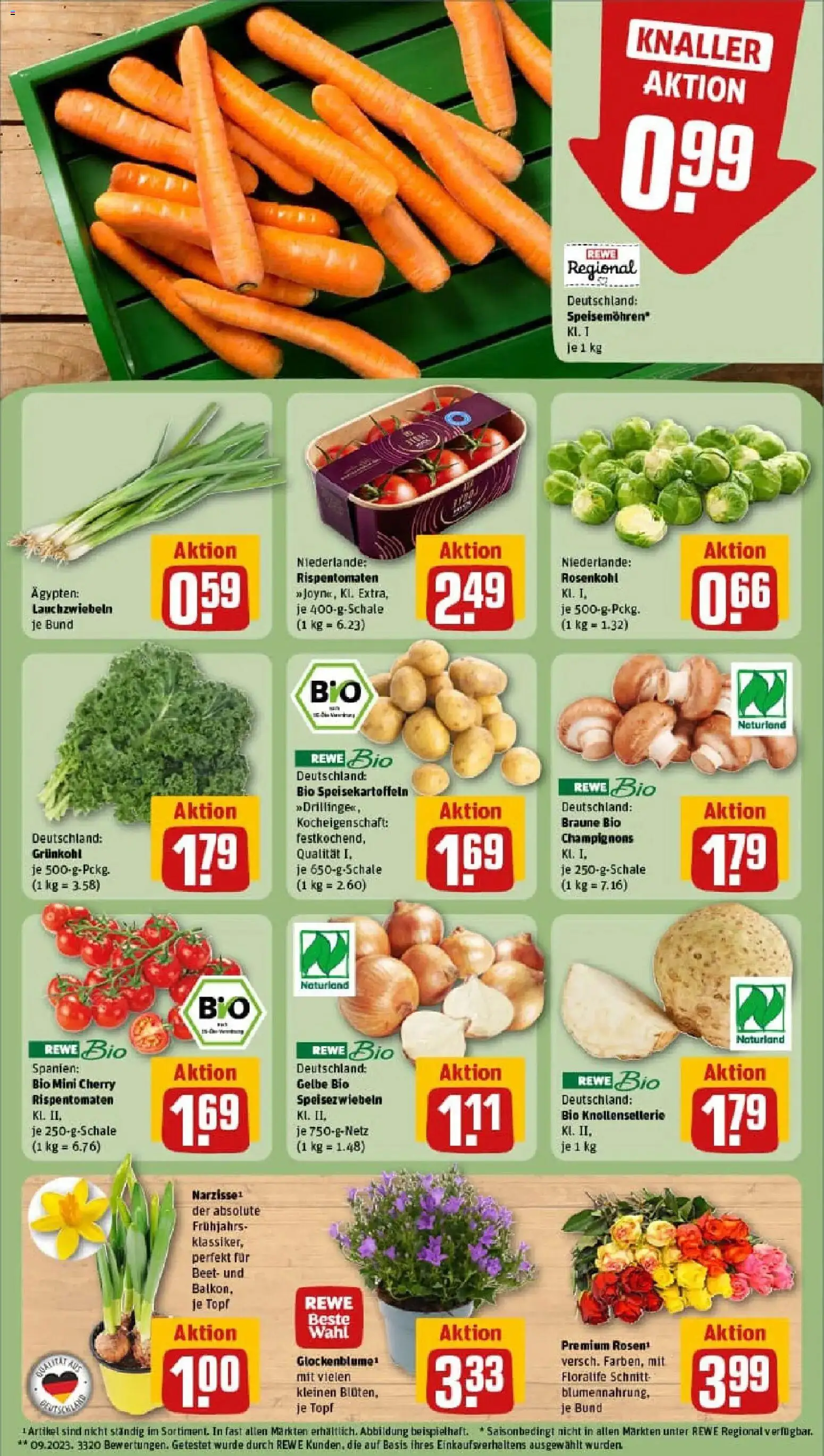 Rewe prospekt Schelklingen	 – gültig ab 11.01.2026 | Seite: 7 | Produkte: Champignons