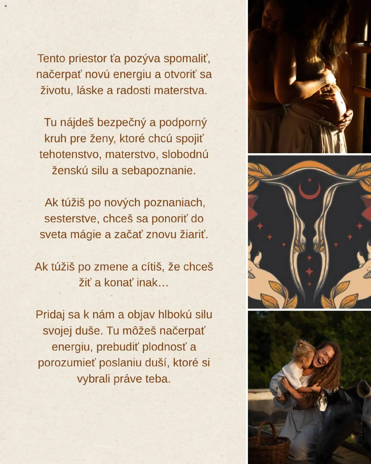 Nové Idiomas del sol akcie – leták je platný od 20.12.2025 | Strana: 3