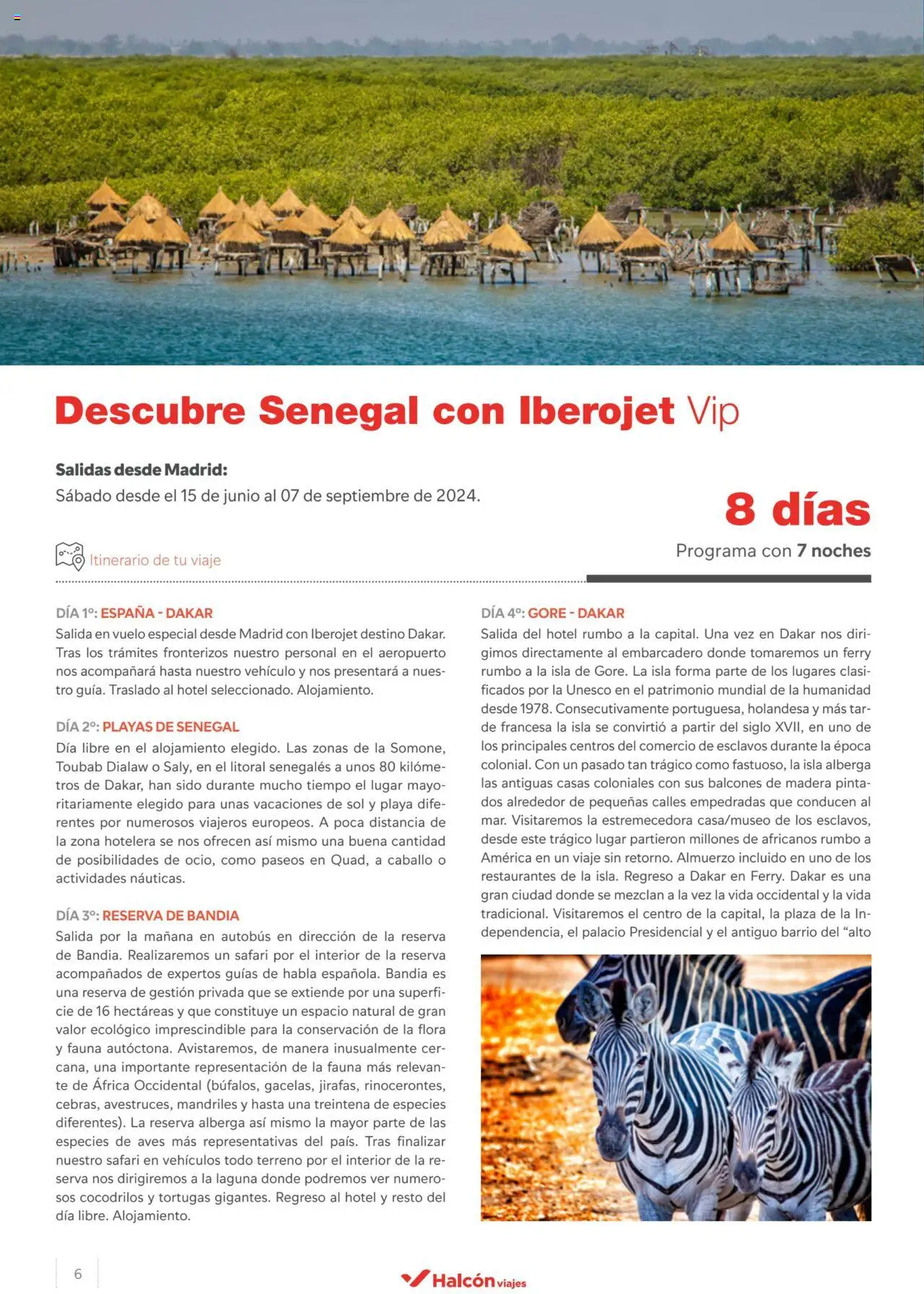 Halcón Viajes Senegal │ válido desde el 26.04.2024 | Página: 6 | Productos: Té